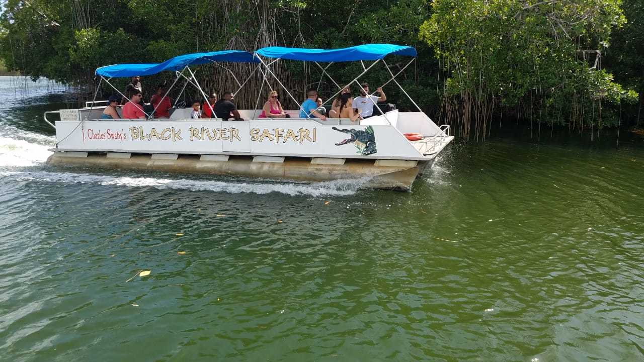 Jamaica South Coast: YS Falls & Black River Safari