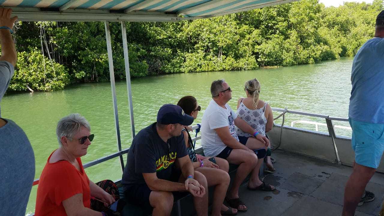 Jamaica South Coast: YS Falls & Black River Safari