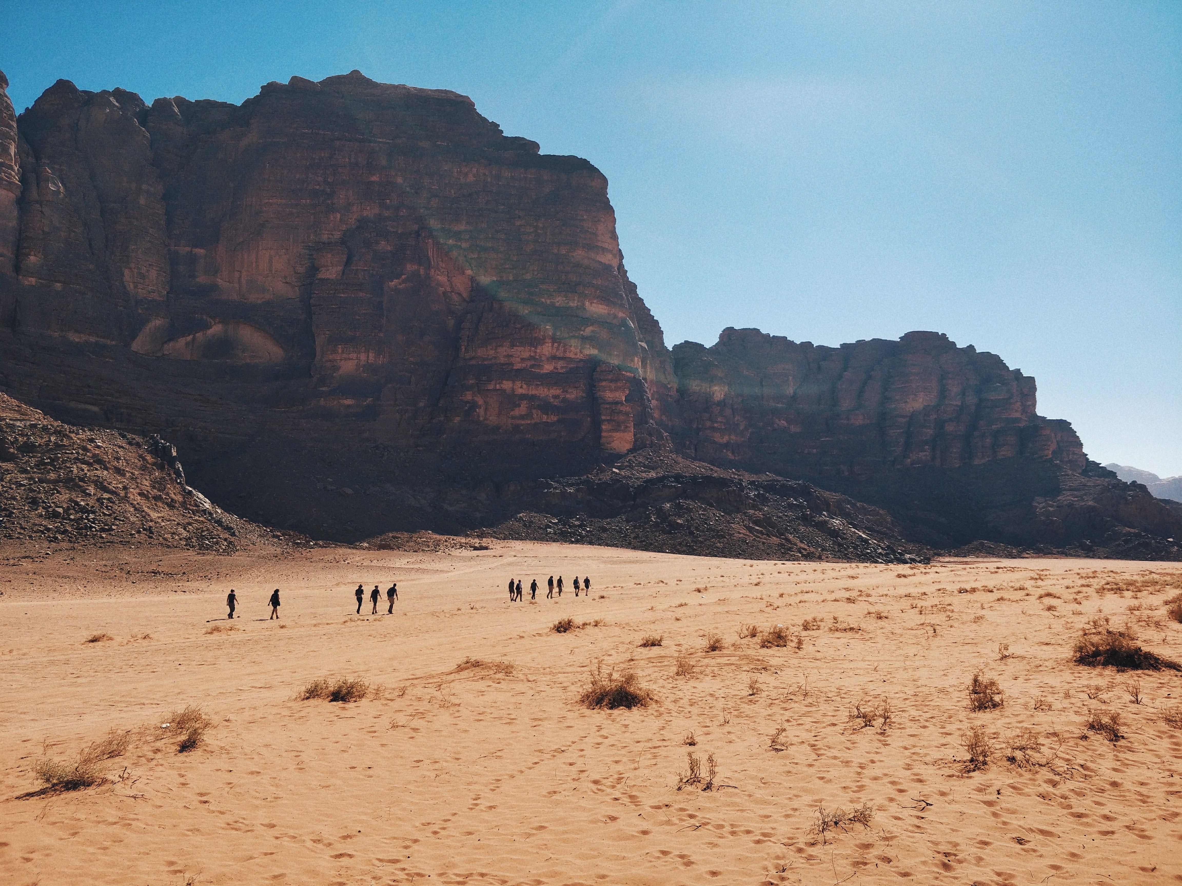 Petra & Wadi Rum: One-Day Private or Group Journey