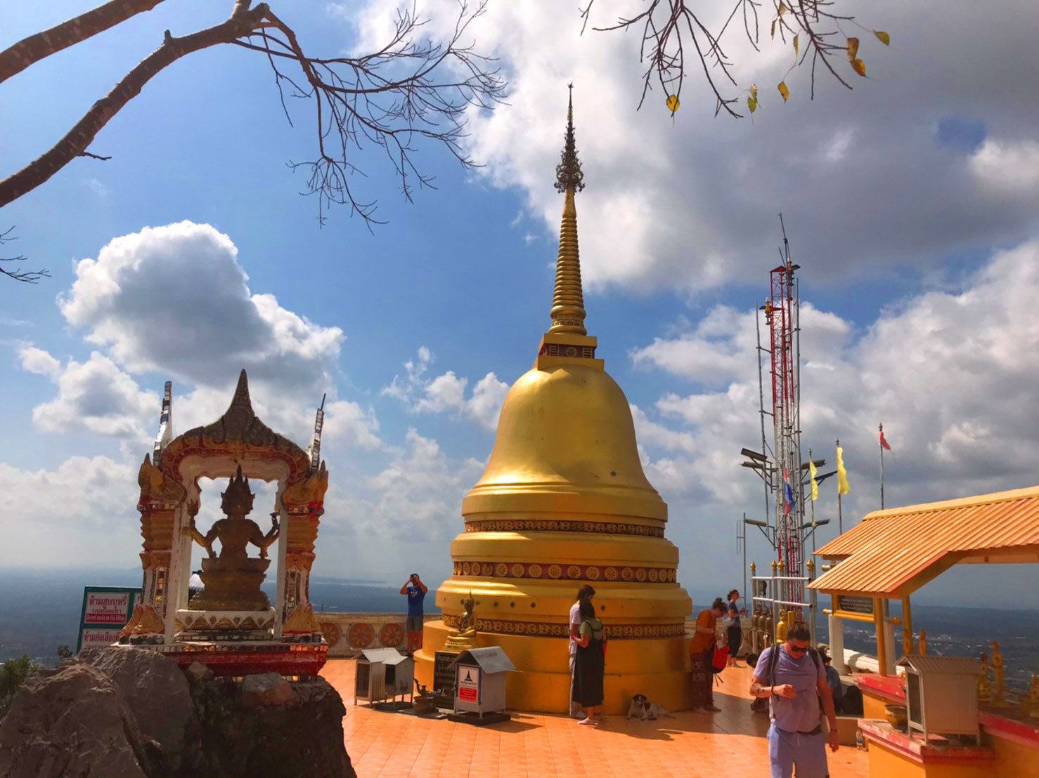 Krabi Jungle Day Tour: Emerald Pool, Hot Springs & Tiger Cave Temple