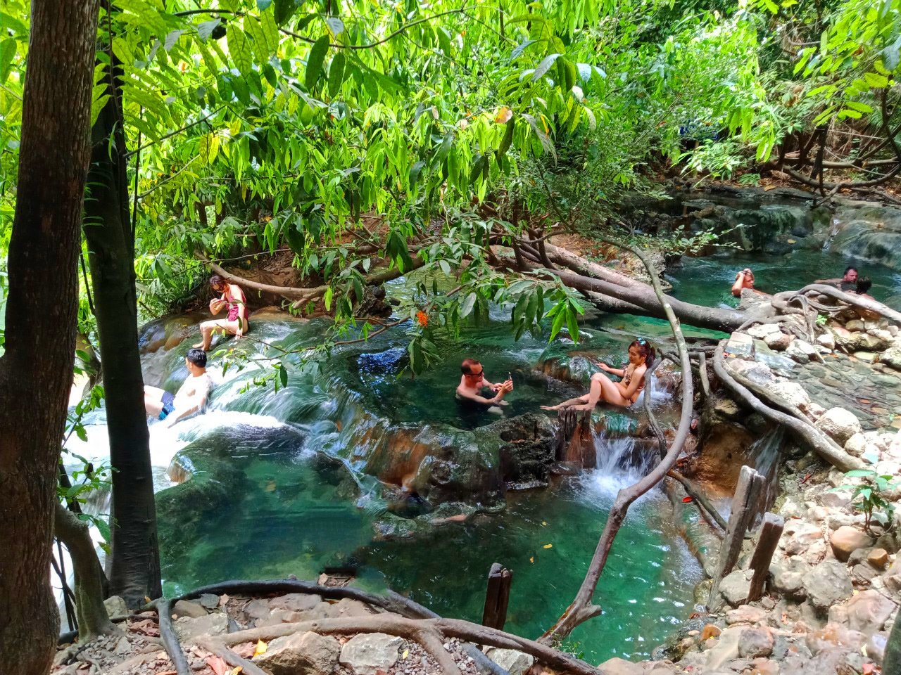 Krabi Jungle Day Tour: Emerald Pool, Hot Springs & Tiger Cave Temple