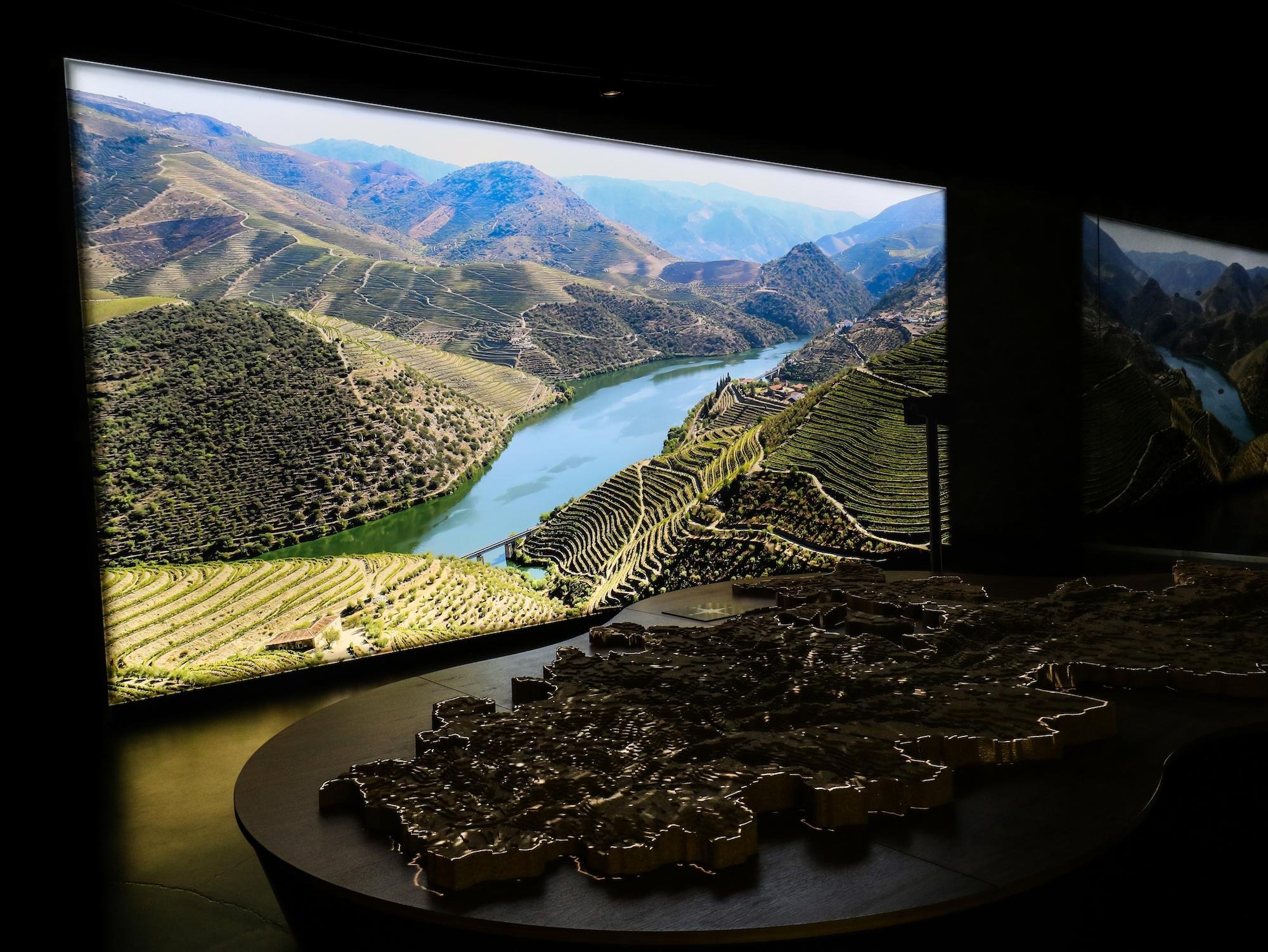 port wine tasting in Porto — photo 6