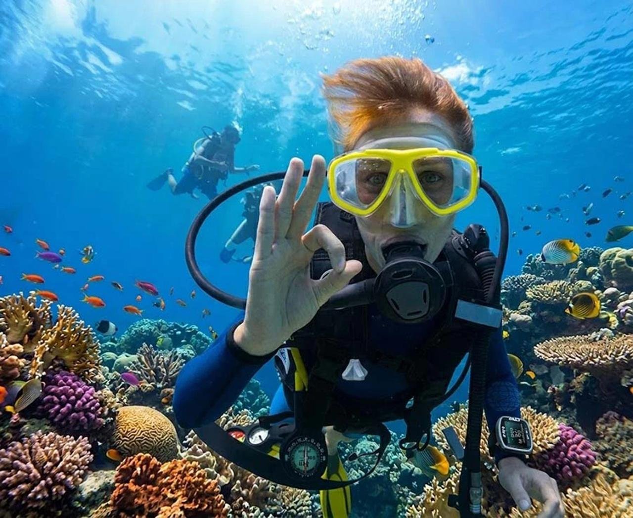 Sharm El Sheikh: Ras Mohamed & White Island Dive & Snorkel Day Trip