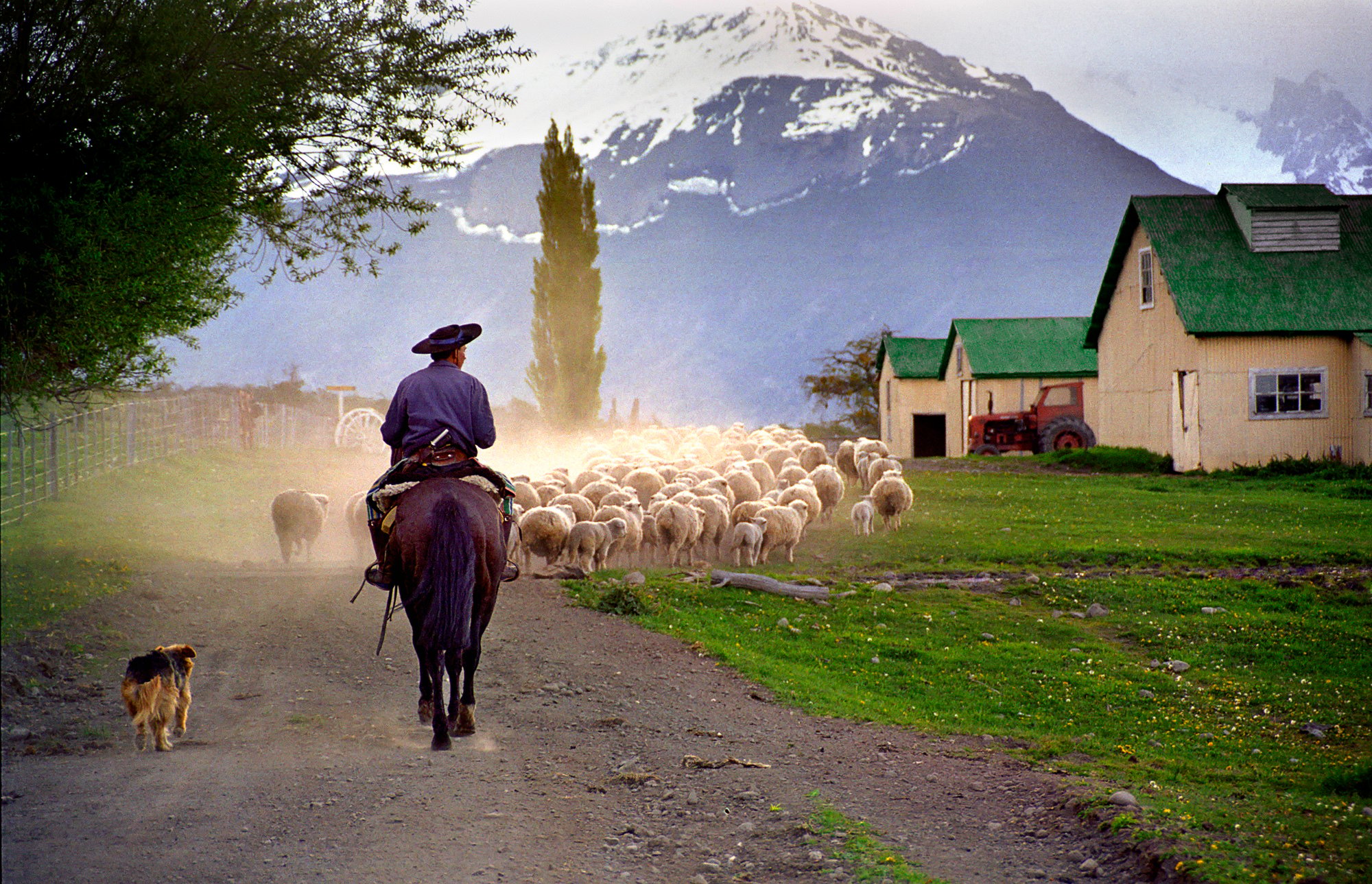 Estancia Nibepo Aike Ranch Experience