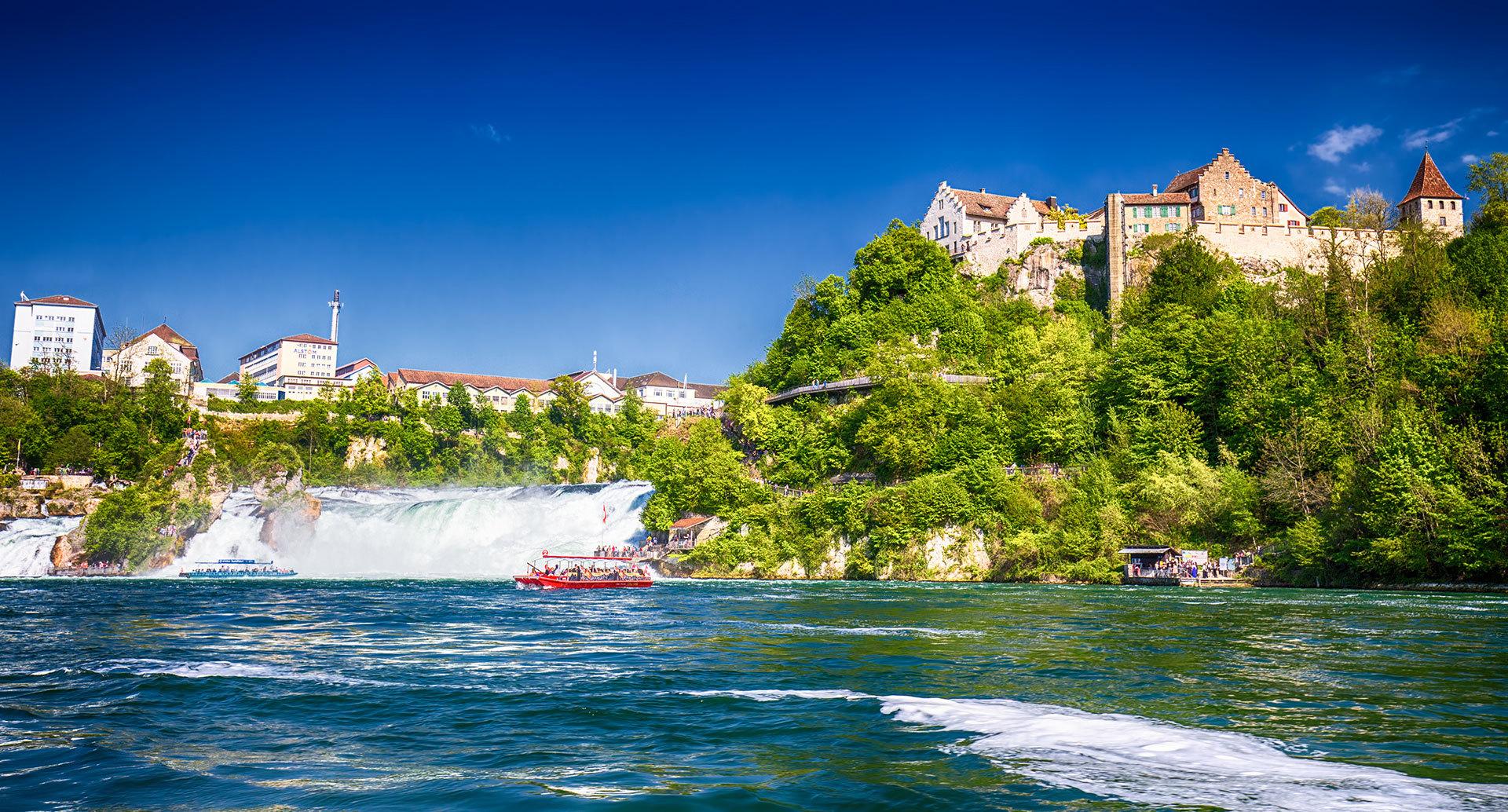 Rhine Falls & Black Forest Private Day Trip from Zurich