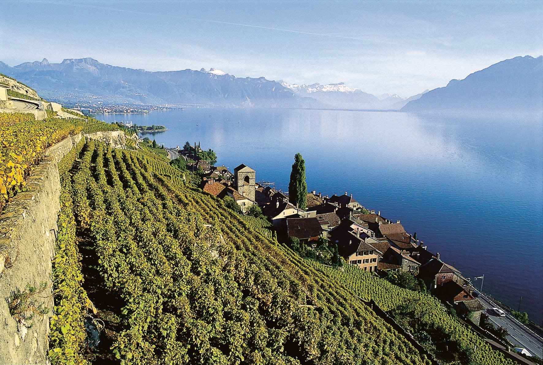 Swiss Riviera Private Tour: Lake Geneva, Chaplin's World & Chillon Castle
