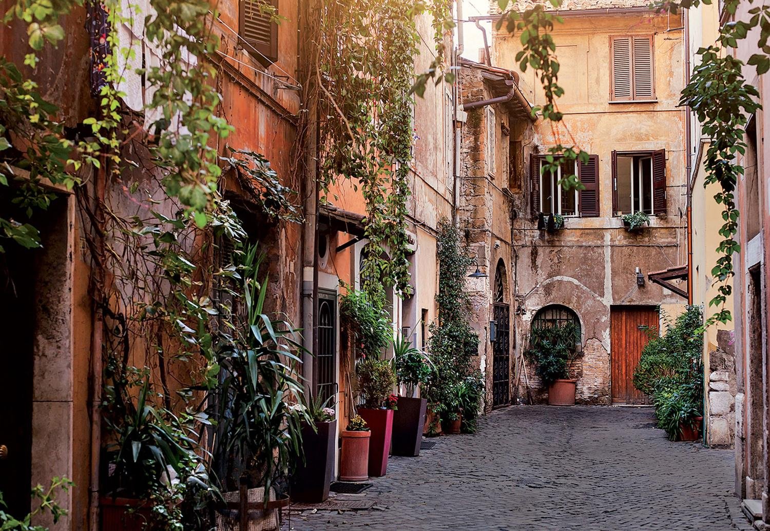 Trastevere & Villa Farnesina: 3-Hour Private Walking Tour