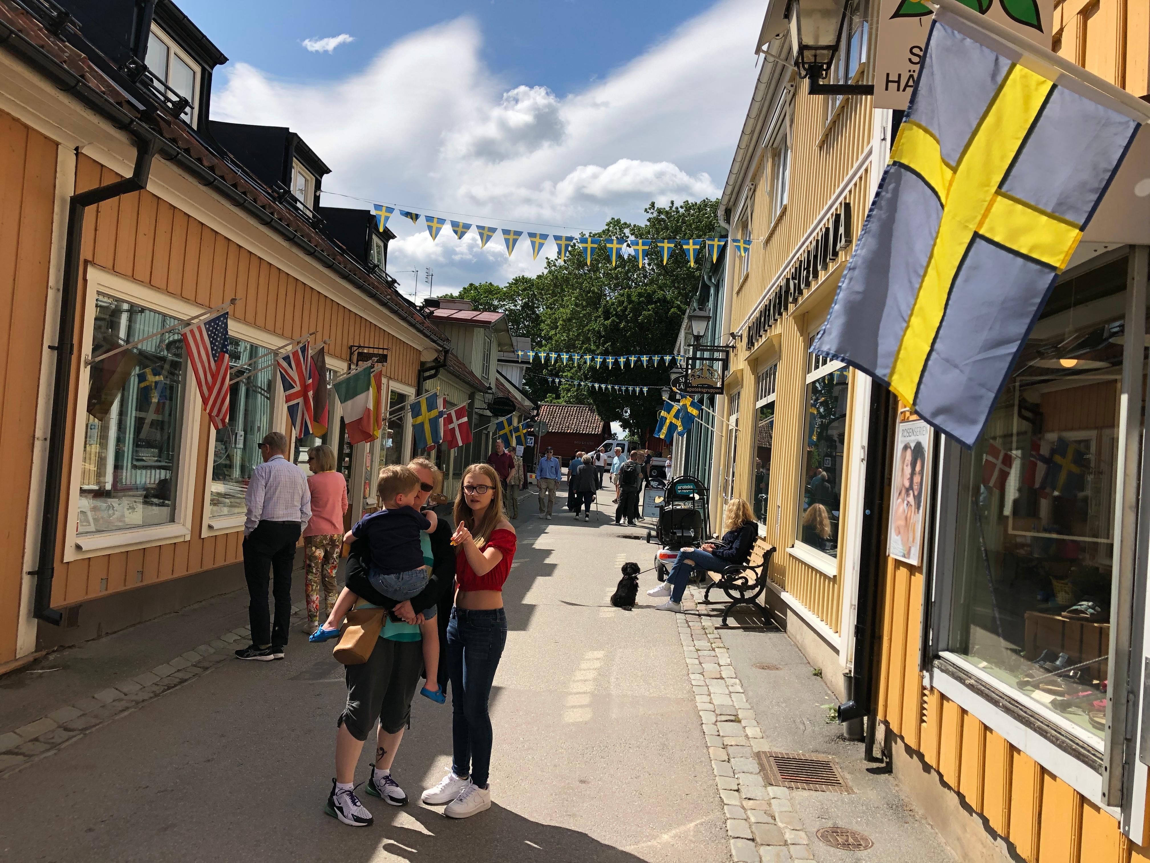Stockholm Viking History Full Day Tour to Sigtuna + Uppsala