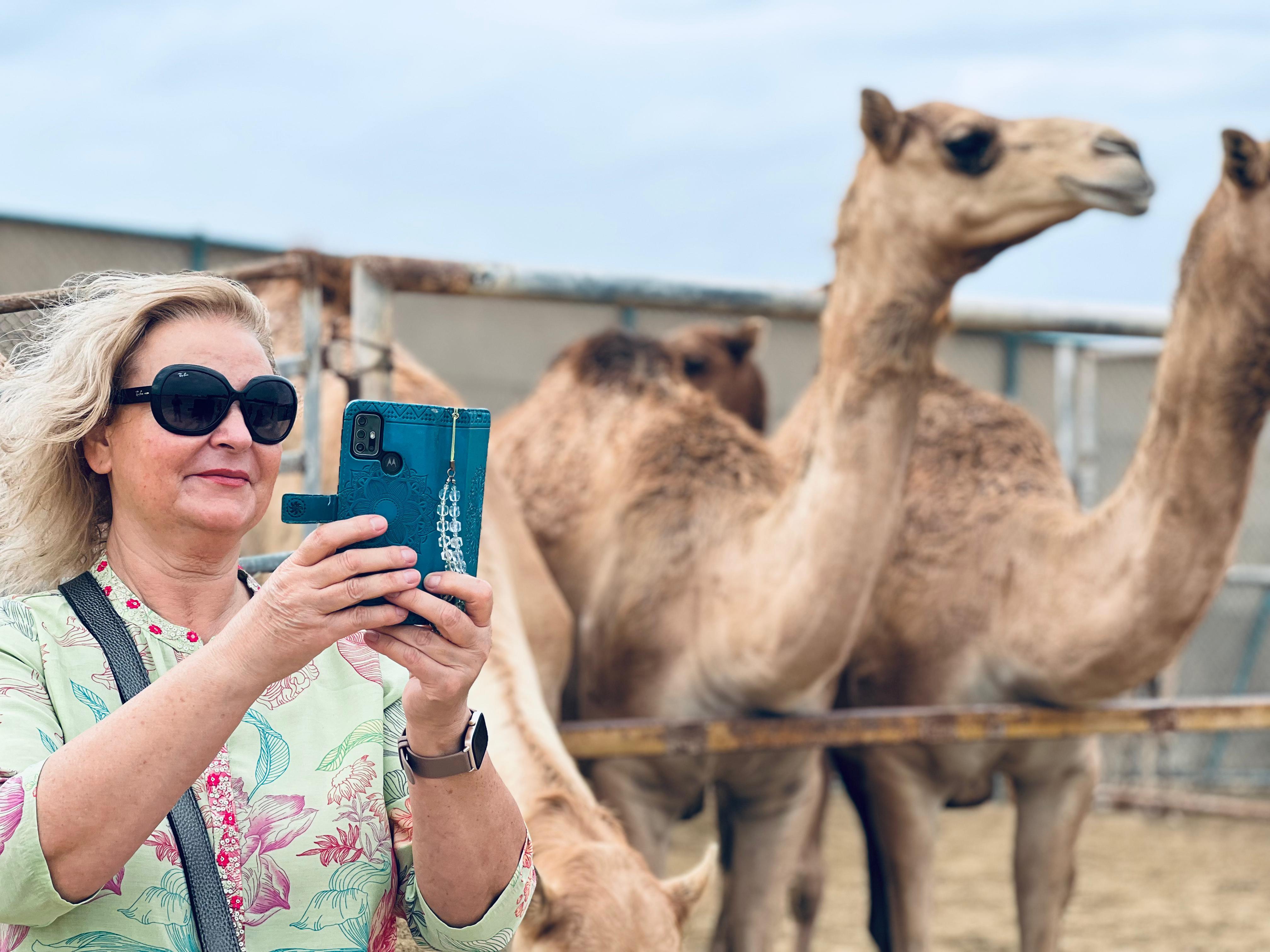 Bahrain Highlights: Heritage Sites & Desert Wonders