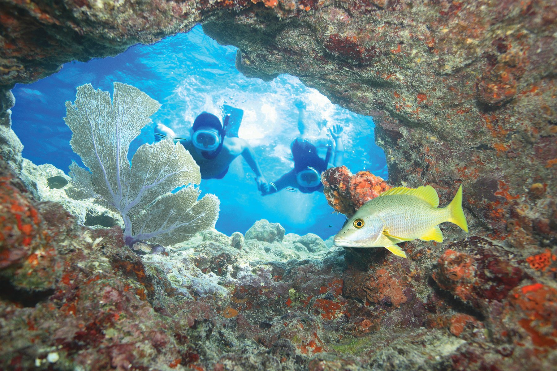 Double Dip Reef Snorkeling Adventure