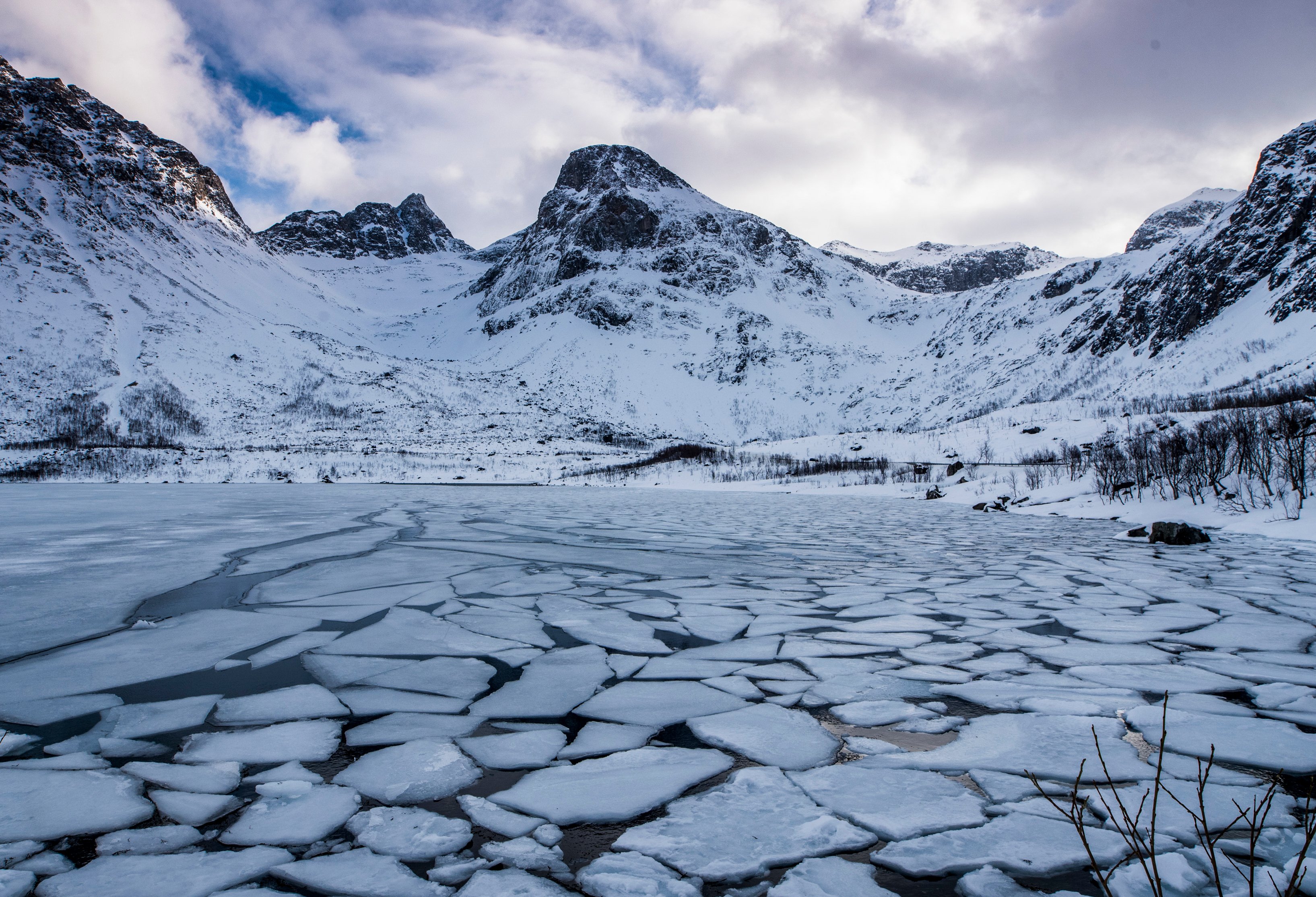 Sommarøy island tour from Tromsø — Kvaløya fjord viewpoints and seaside picnic — image 12