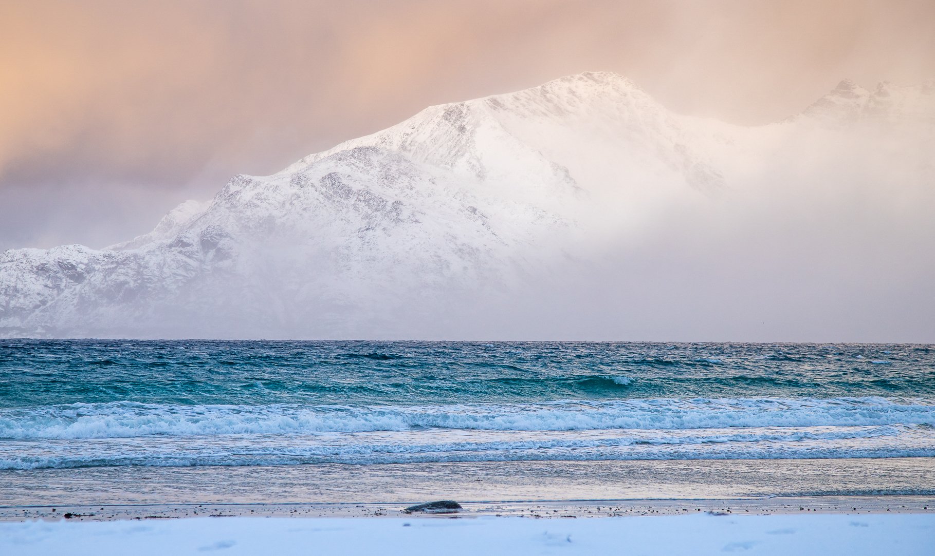 Sommarøy island tour from Tromsø — Kvaløya fjord viewpoints and seaside picnic — image 9