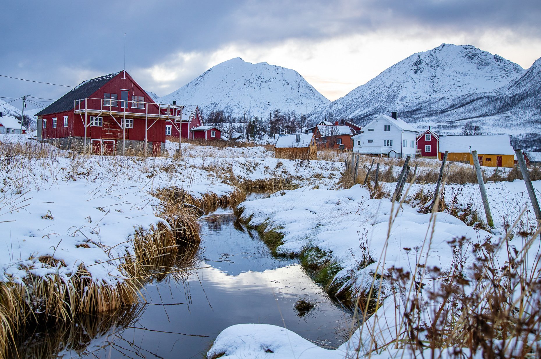 Sommarøy island tour from Tromsø — Kvaløya fjord viewpoints and seaside picnic — image 13