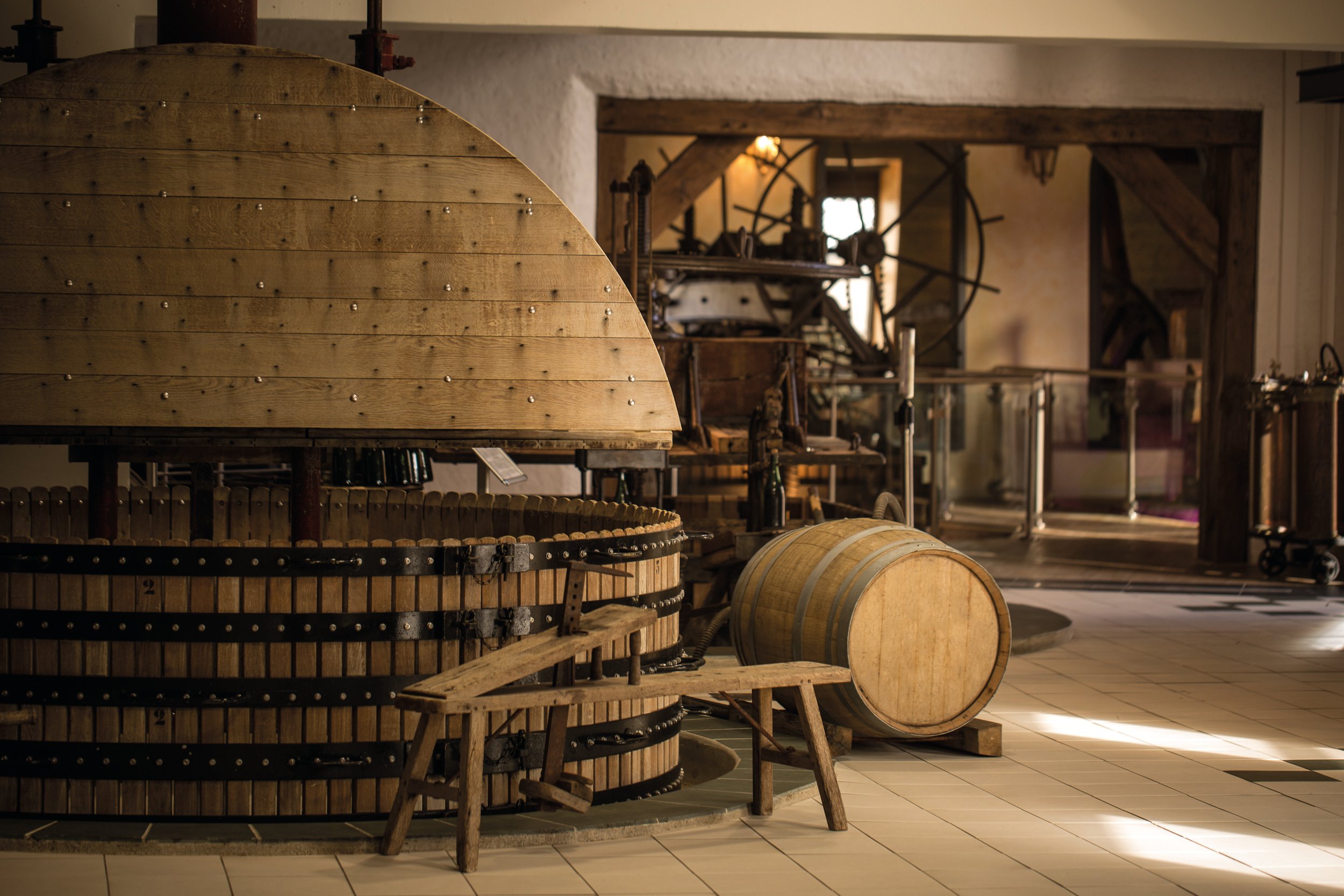 Authentic Champagne Tour + 3 Champagnes 100% Meunier