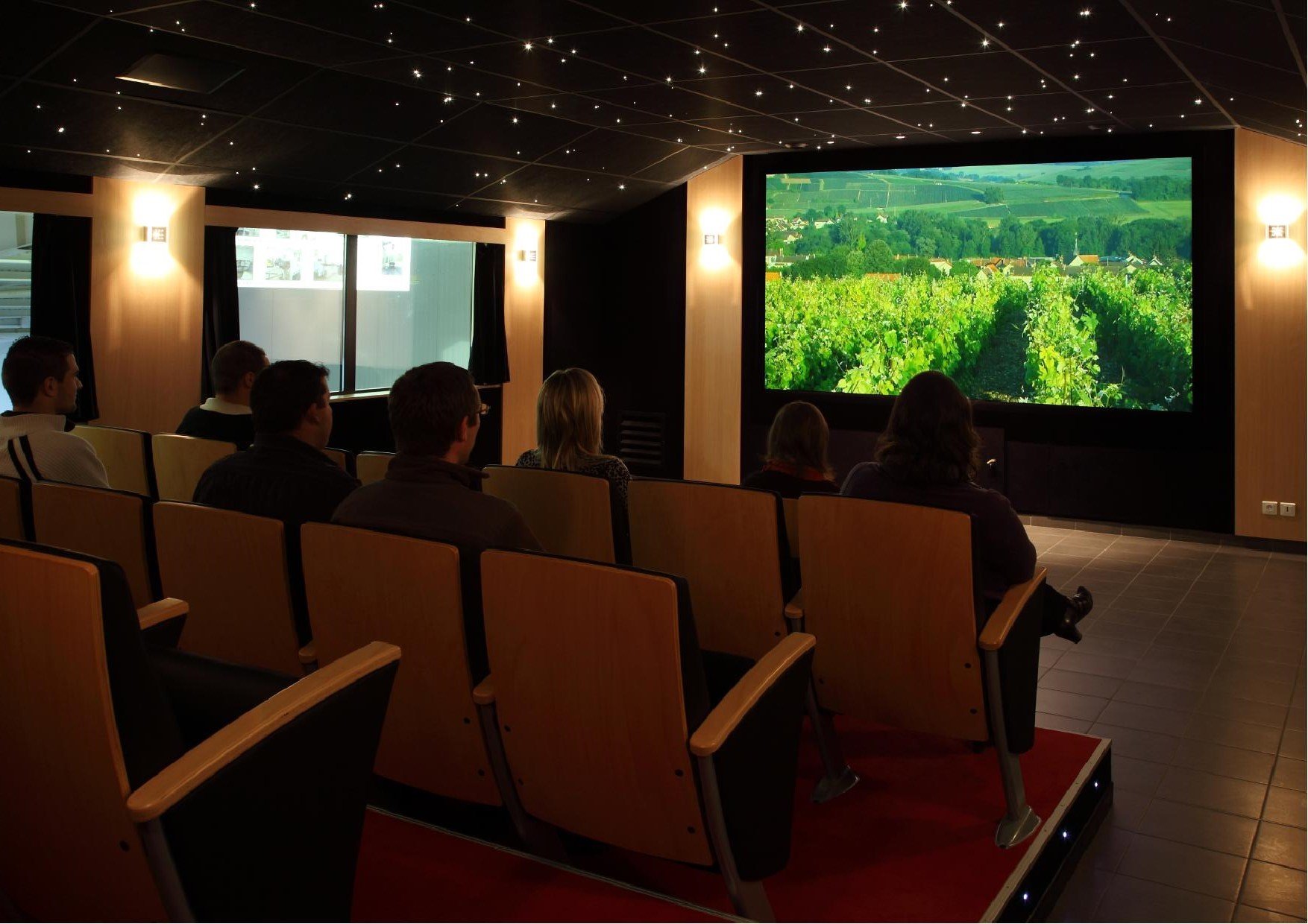 Authentic Champagne Tour + 3 Champagnes 100% Meunier