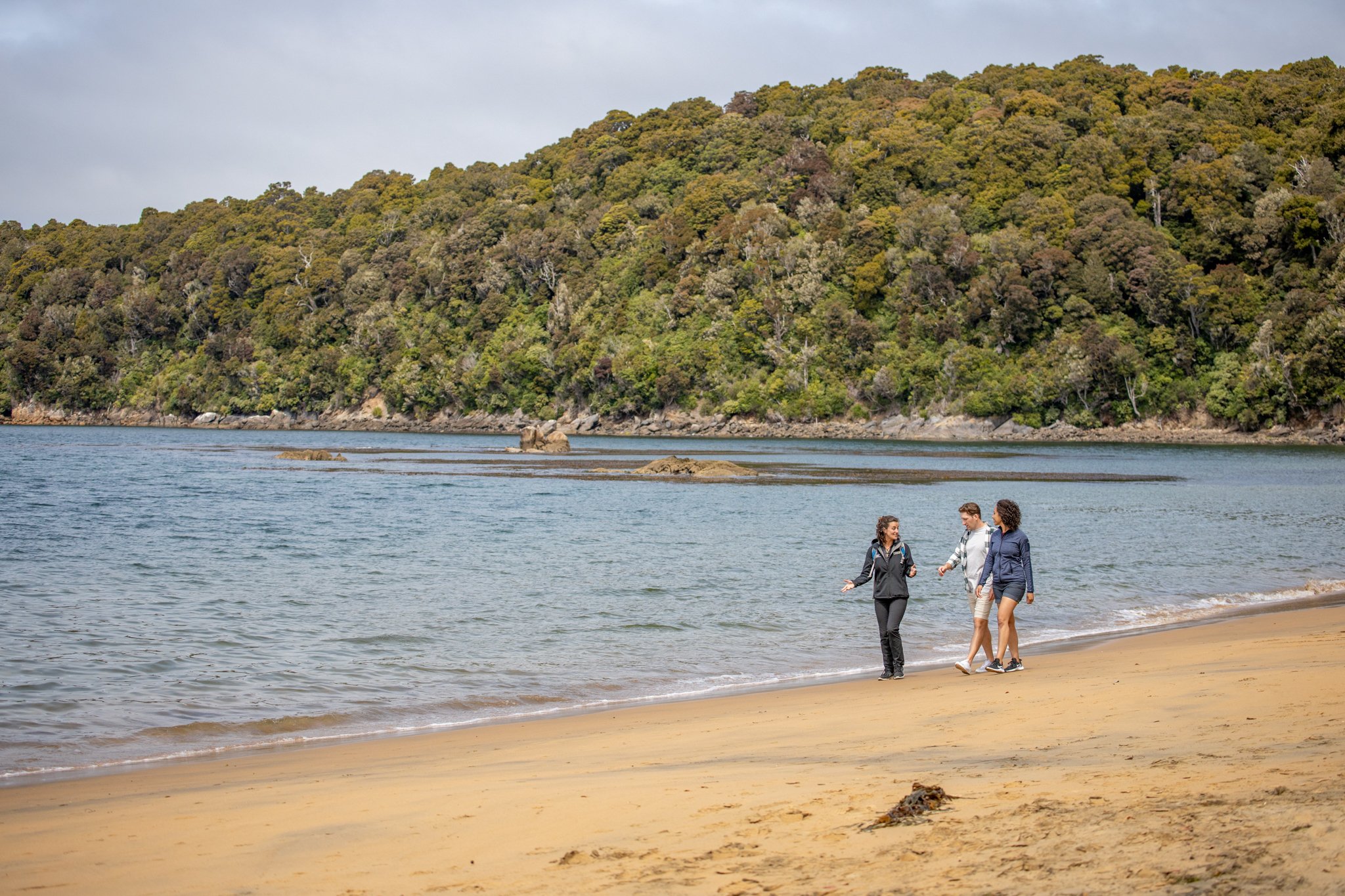 Stewart Island: Ulva Island Guided Wilderness Walk & Cruise