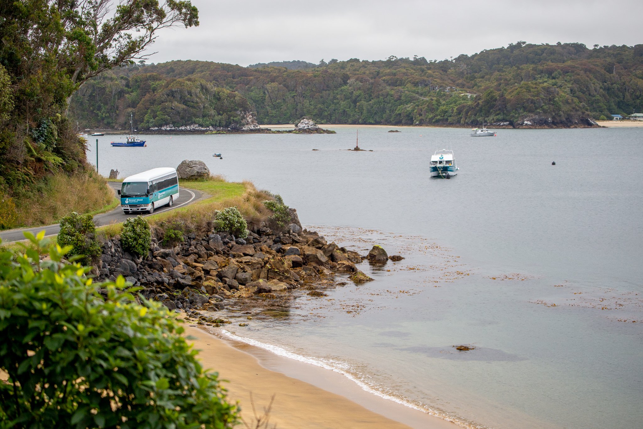 Stewart Island: Rakiura Village and Bays Tour