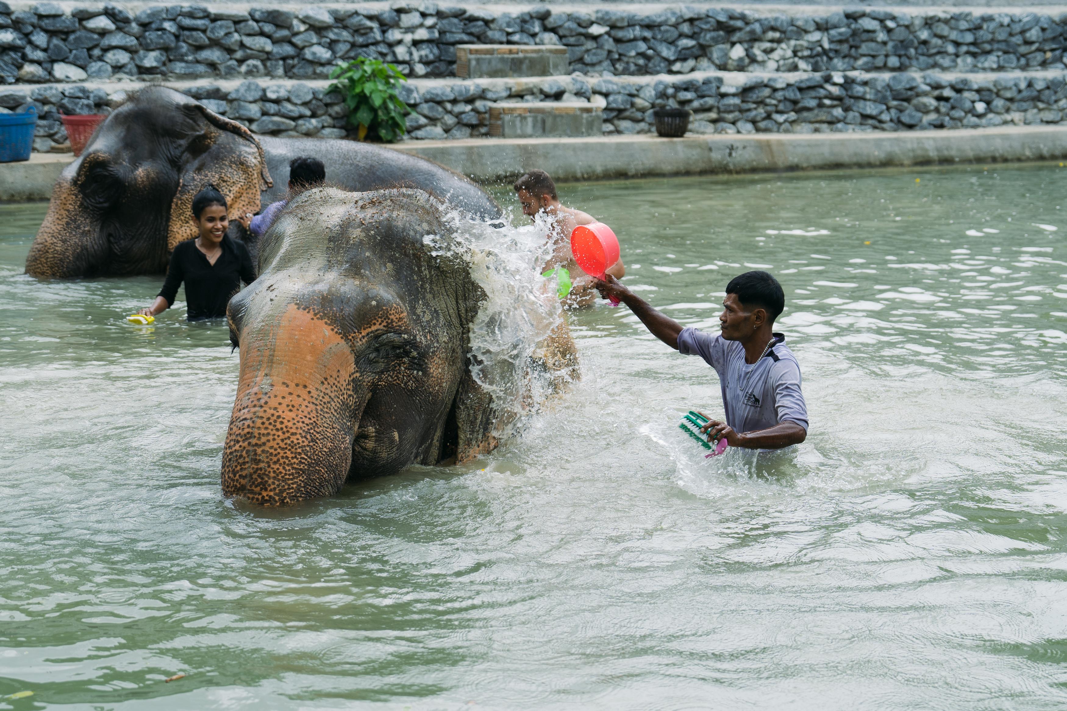 Ao Nang Elephant Sanctuary Half-Day Experience