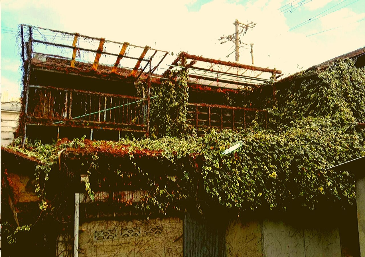 Osaka: Deep Backstreets Walking Tour with Dinner Option