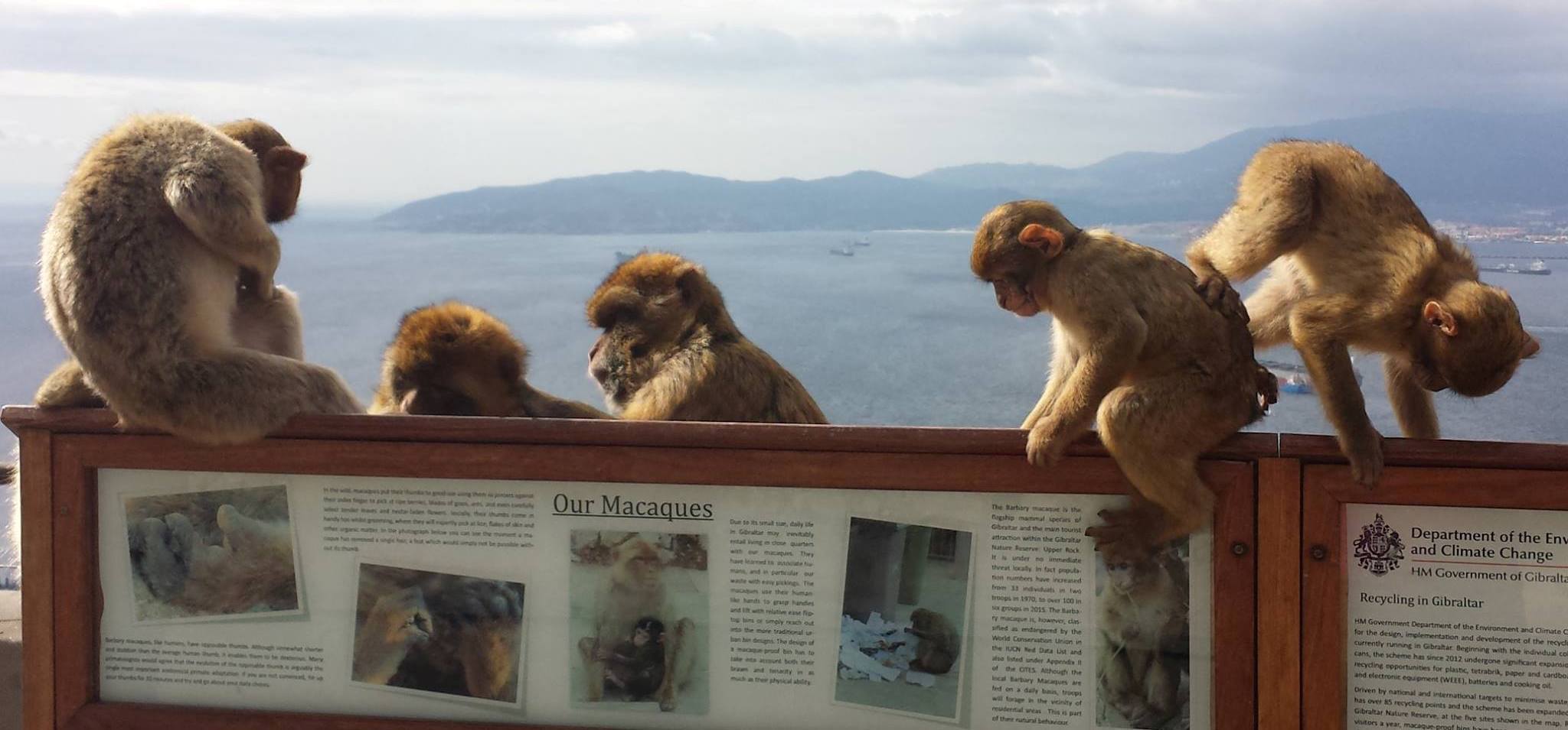 Private Gibraltar Day Trip from Seville