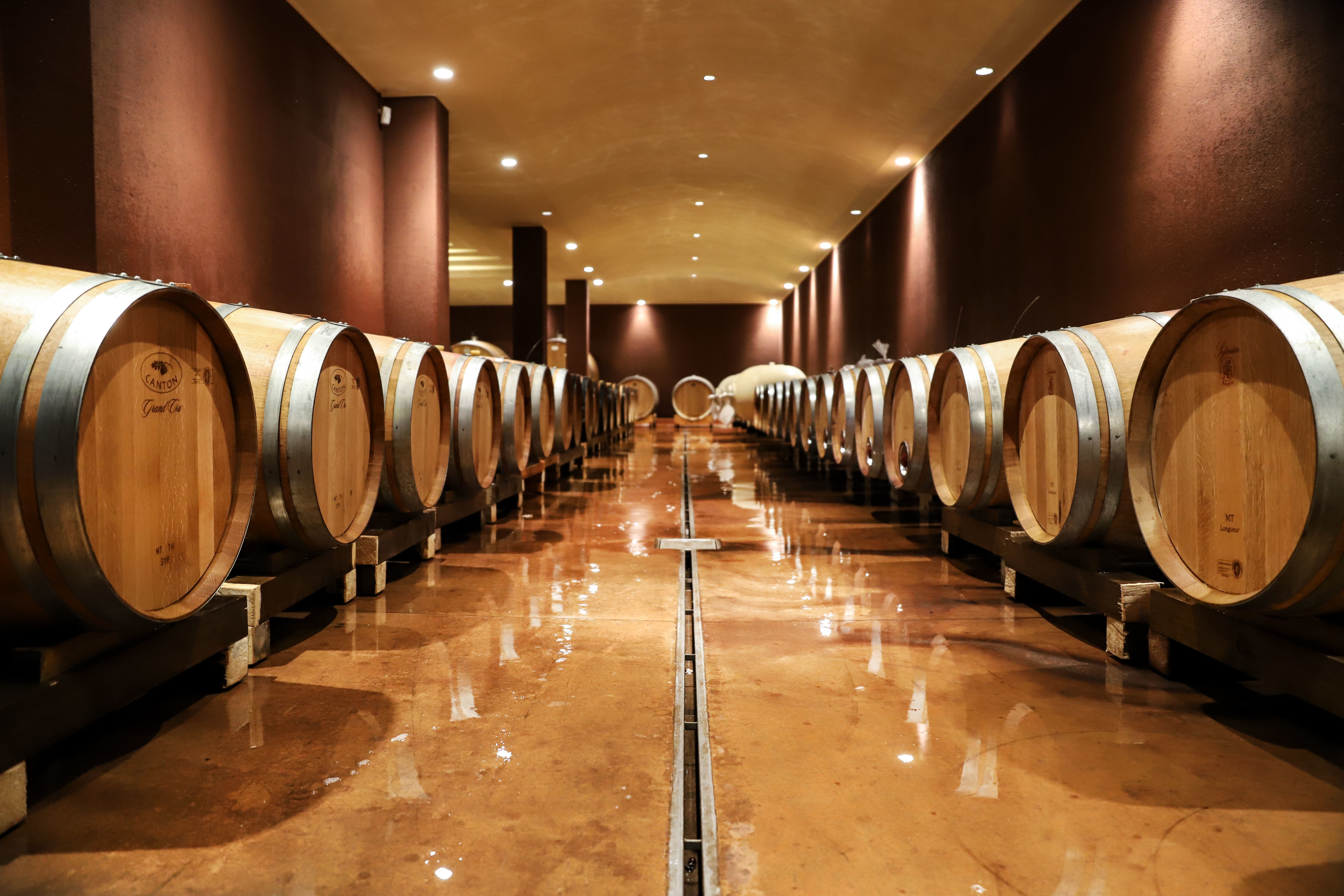 Bardolino Winery Tour & Tasting