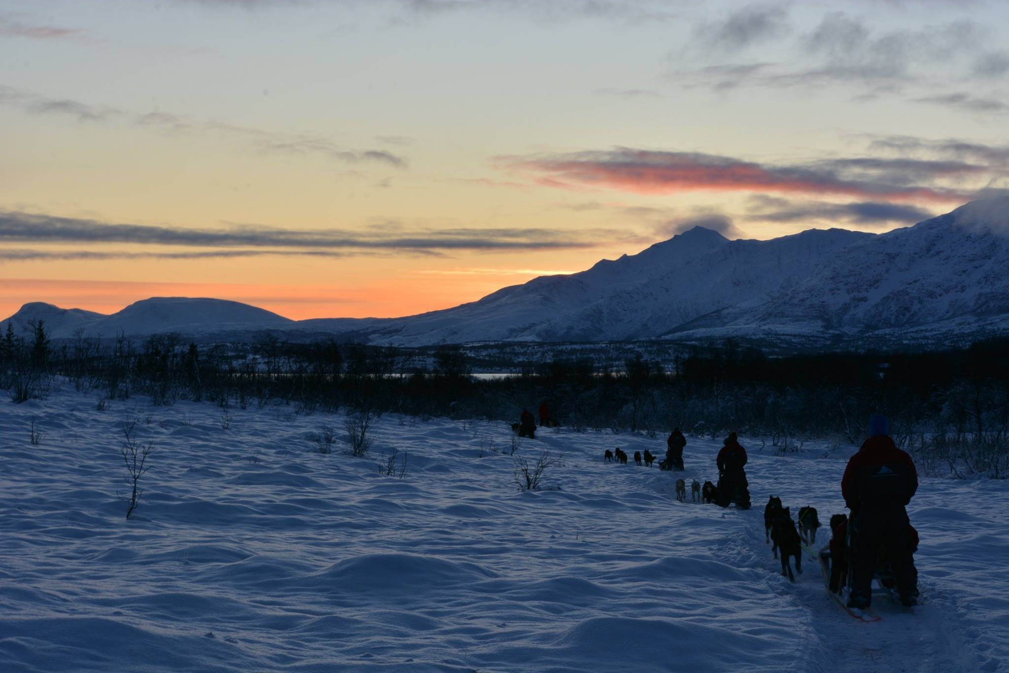 Self-drive dog sledding in Tromsø — image 9