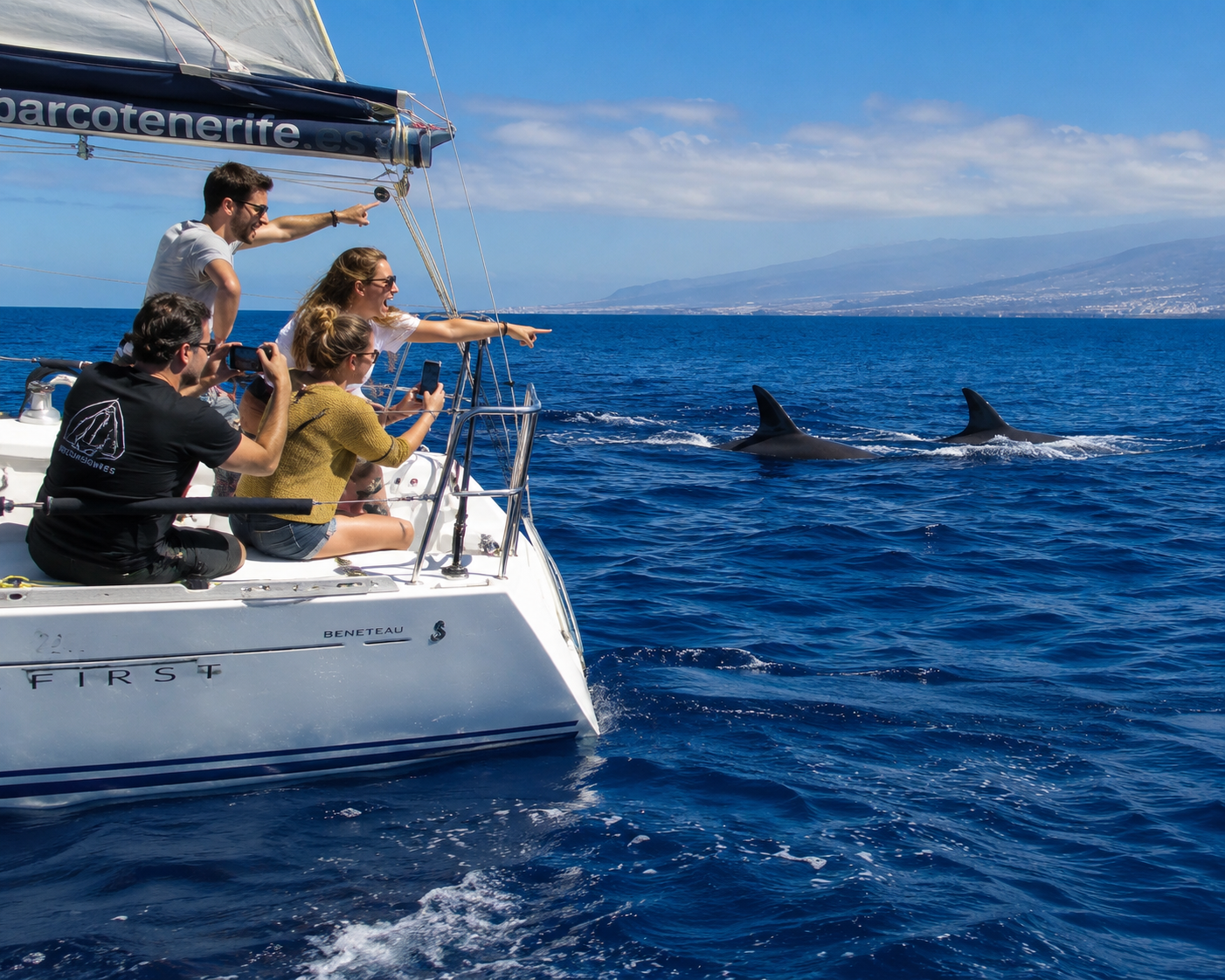 Small-Group Sailing & Whale Watching from Los Cristianos