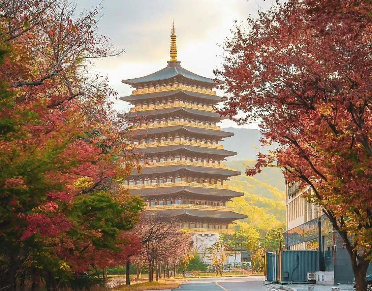 Gyeongju Private Day Tour from Busan