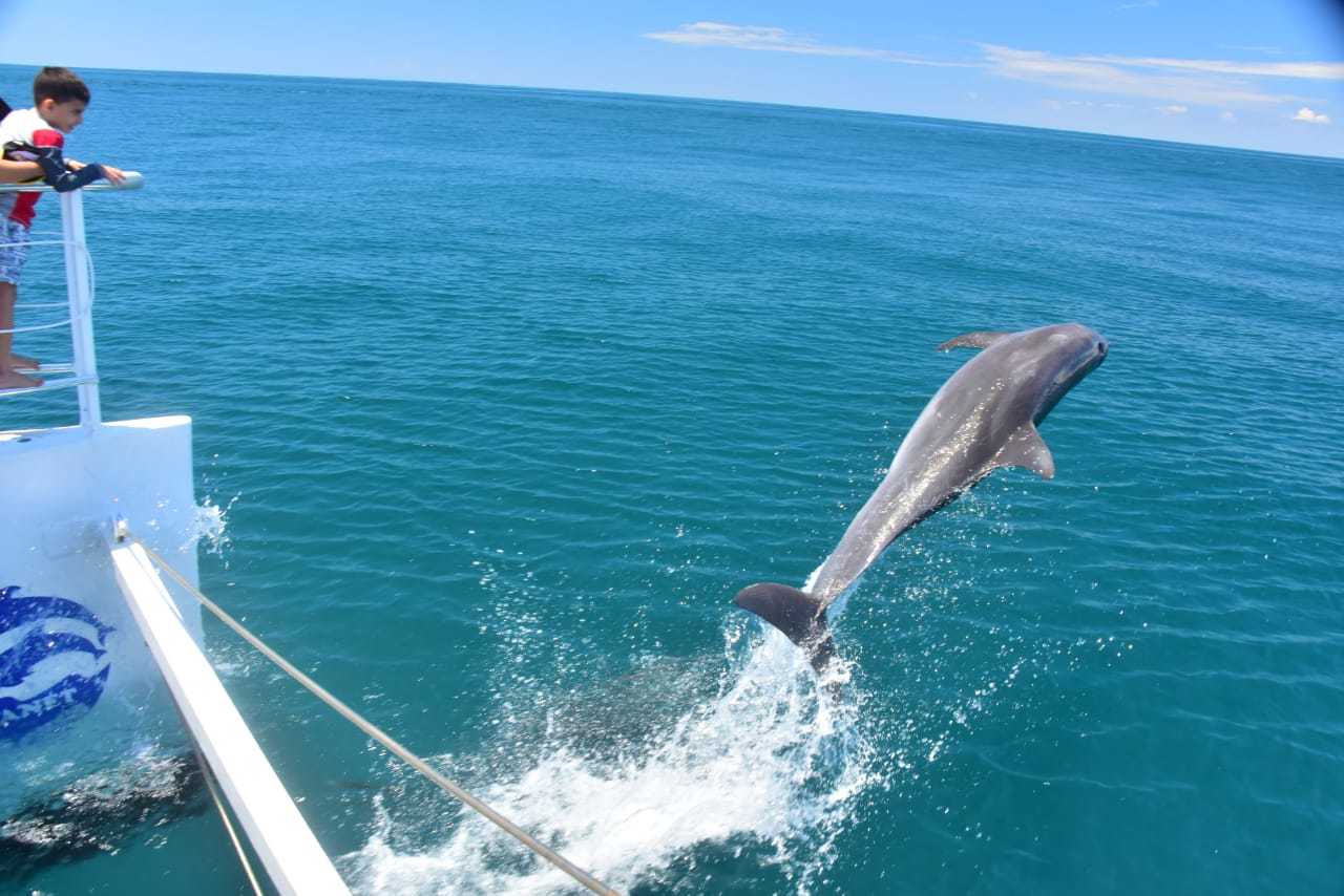 Pacific Coast Catamaran Eco Adventure with Lunch