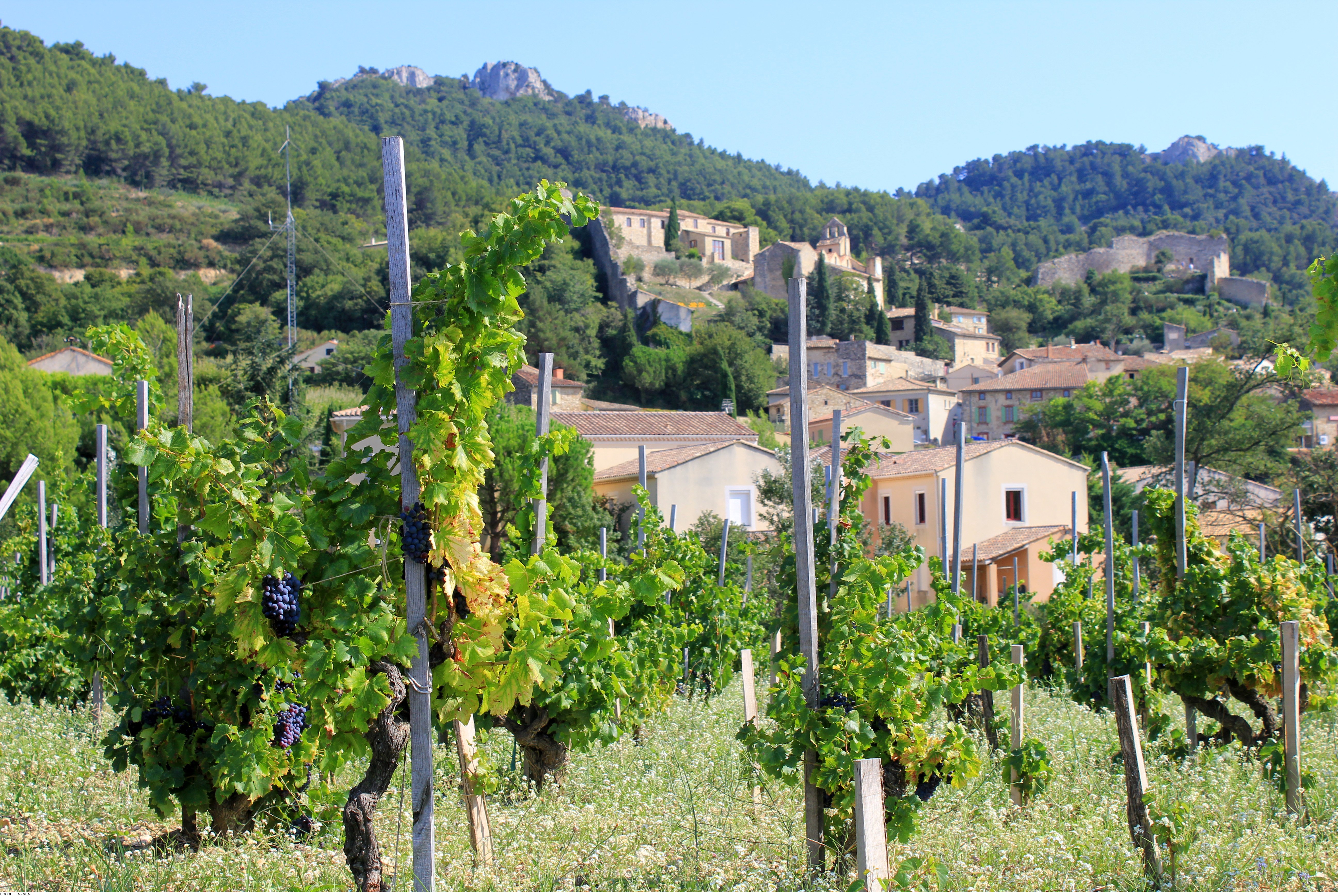Glasses of red Côtes du Rhône wine during a tasting on an Avignon wine tour