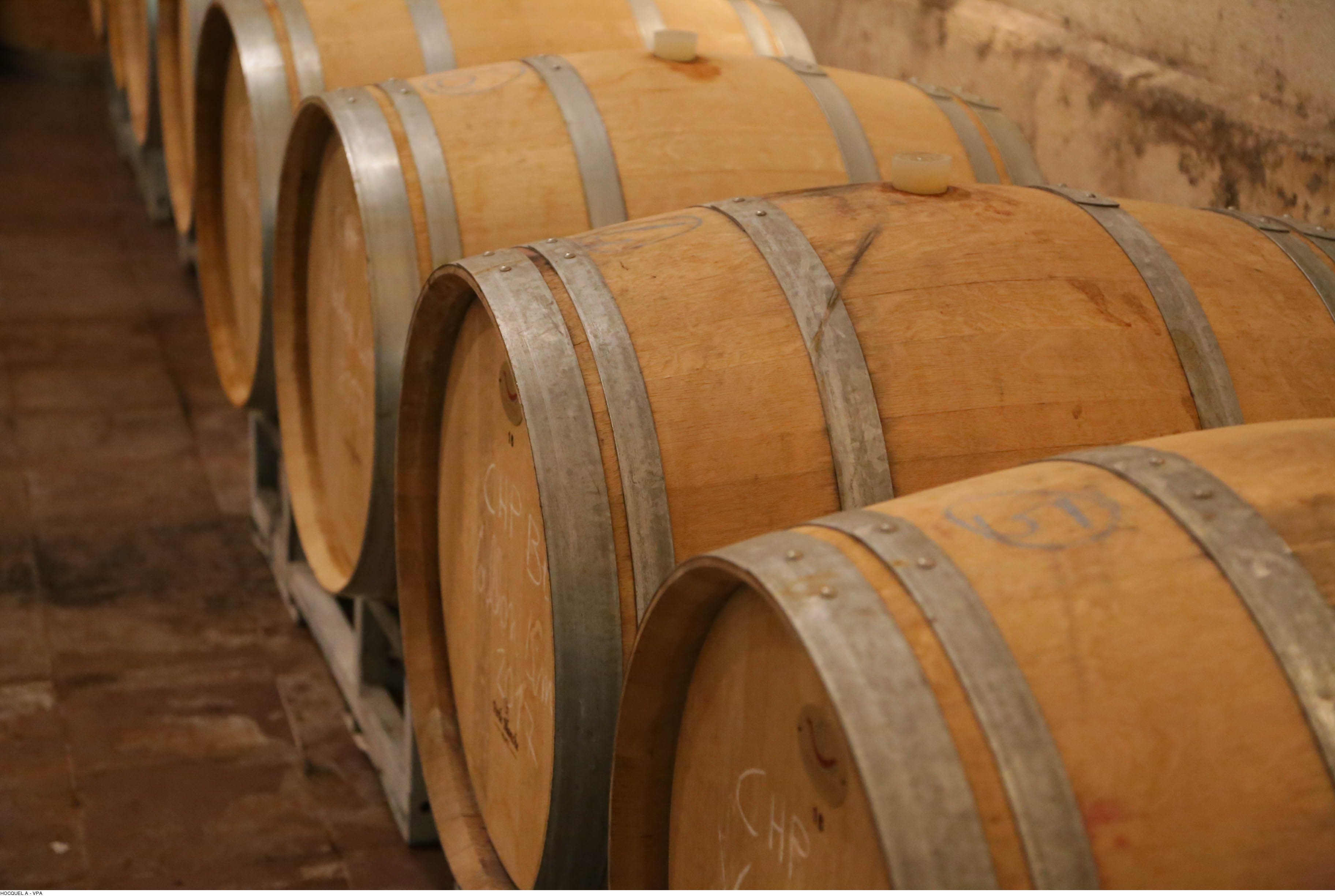 Provençal wine landscape with vines and hills on a half-day wine tour from Avignon