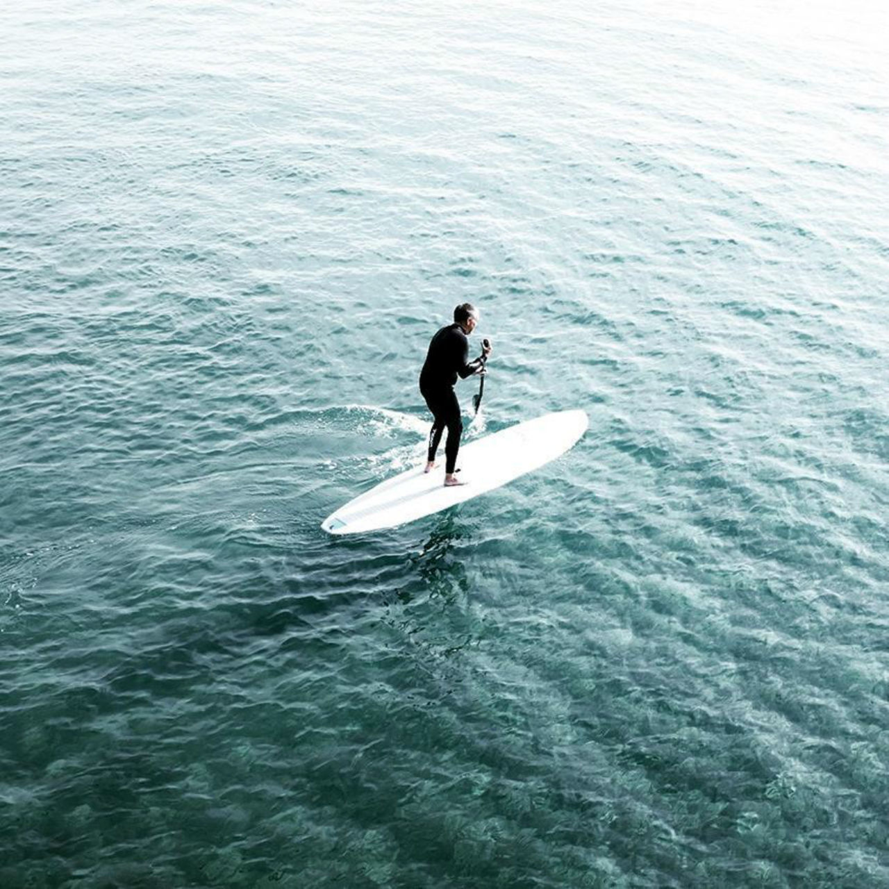 La Jolla: Stand Up Paddle Board Rental - 2026 (Verified Reviews)