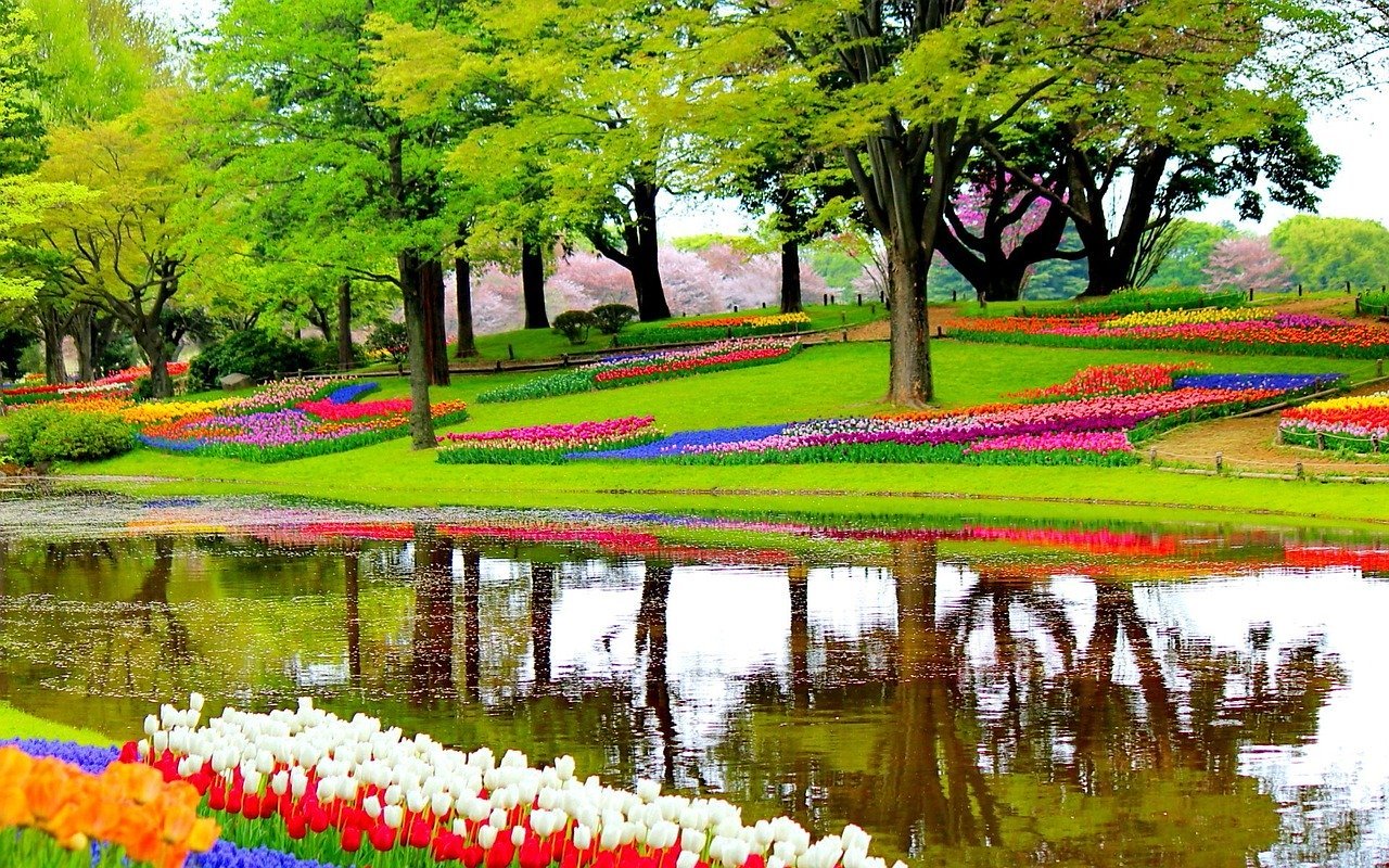 Private Keukenhof Gardens Tour from Amsterdam