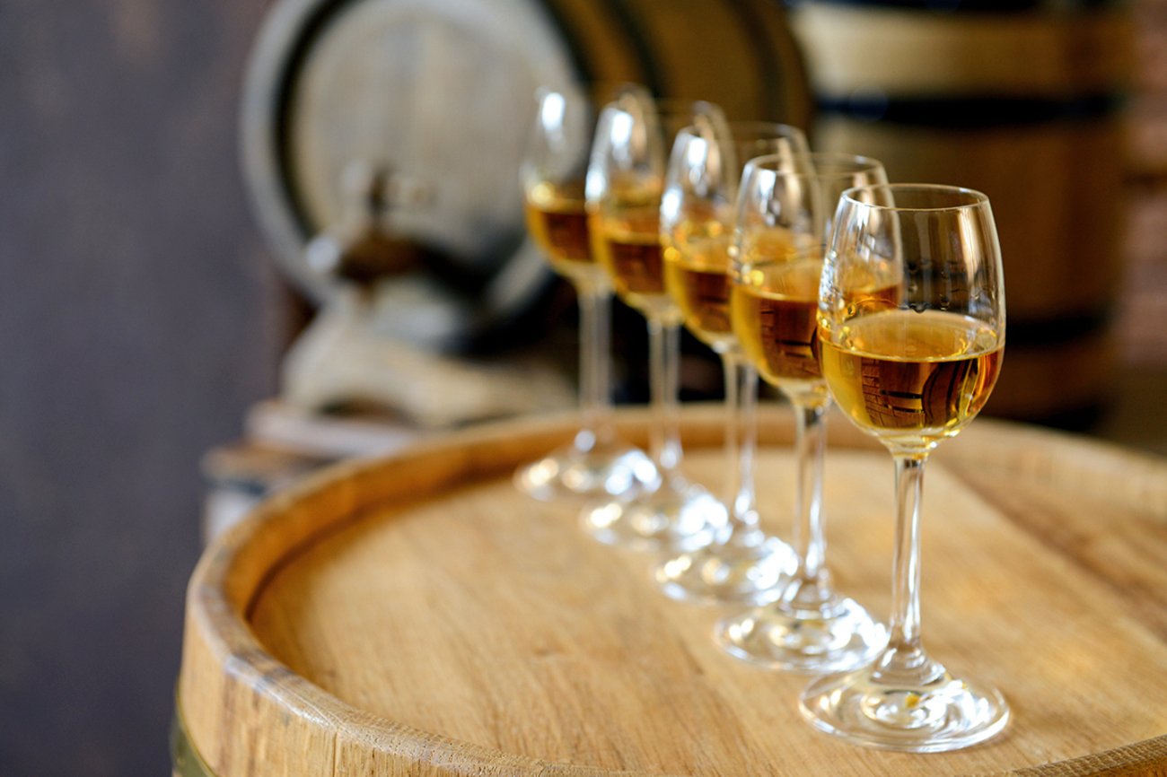 wine tour in Évora — photo 8