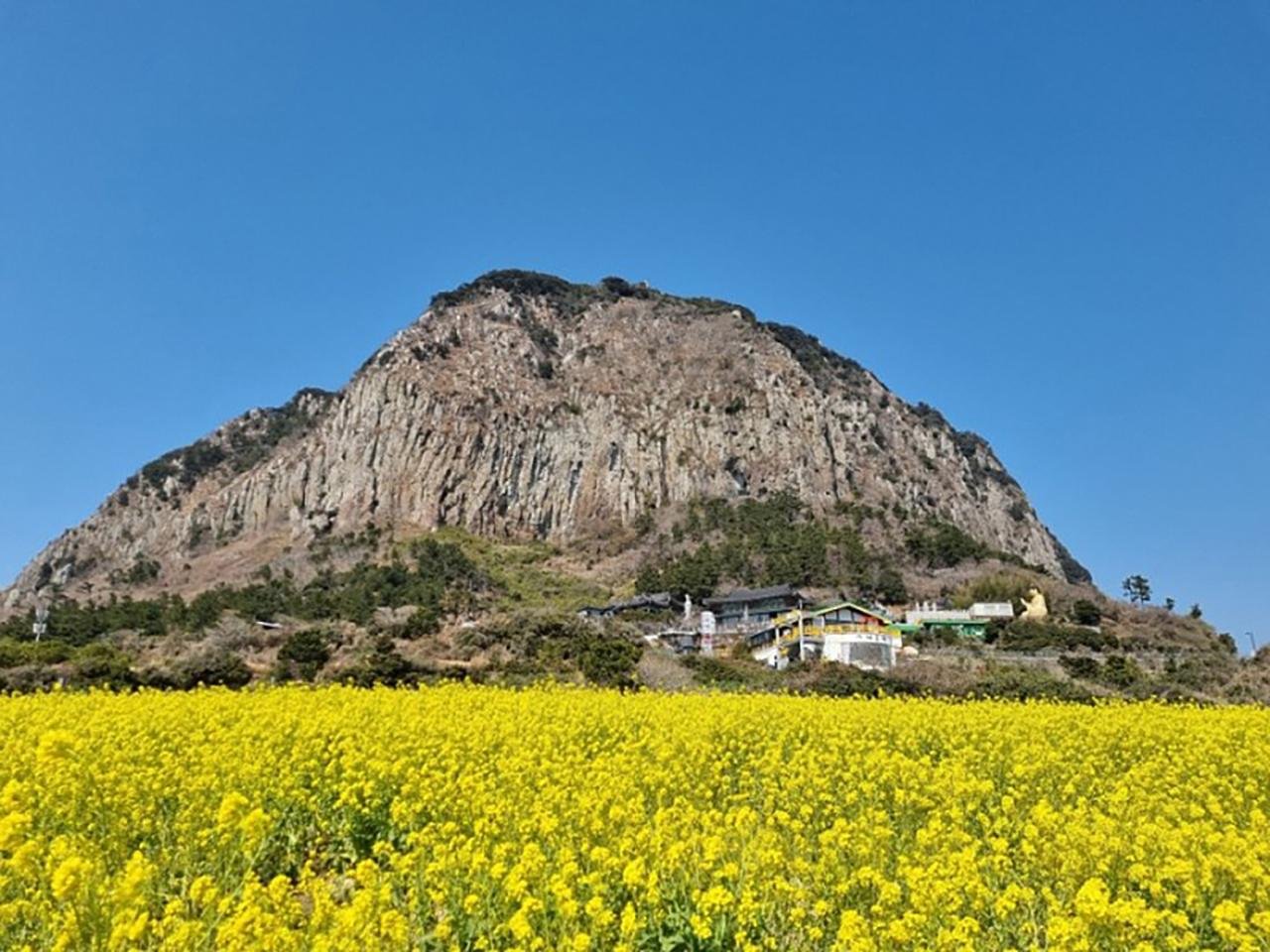 Jeju cruise shore excursion — image 3