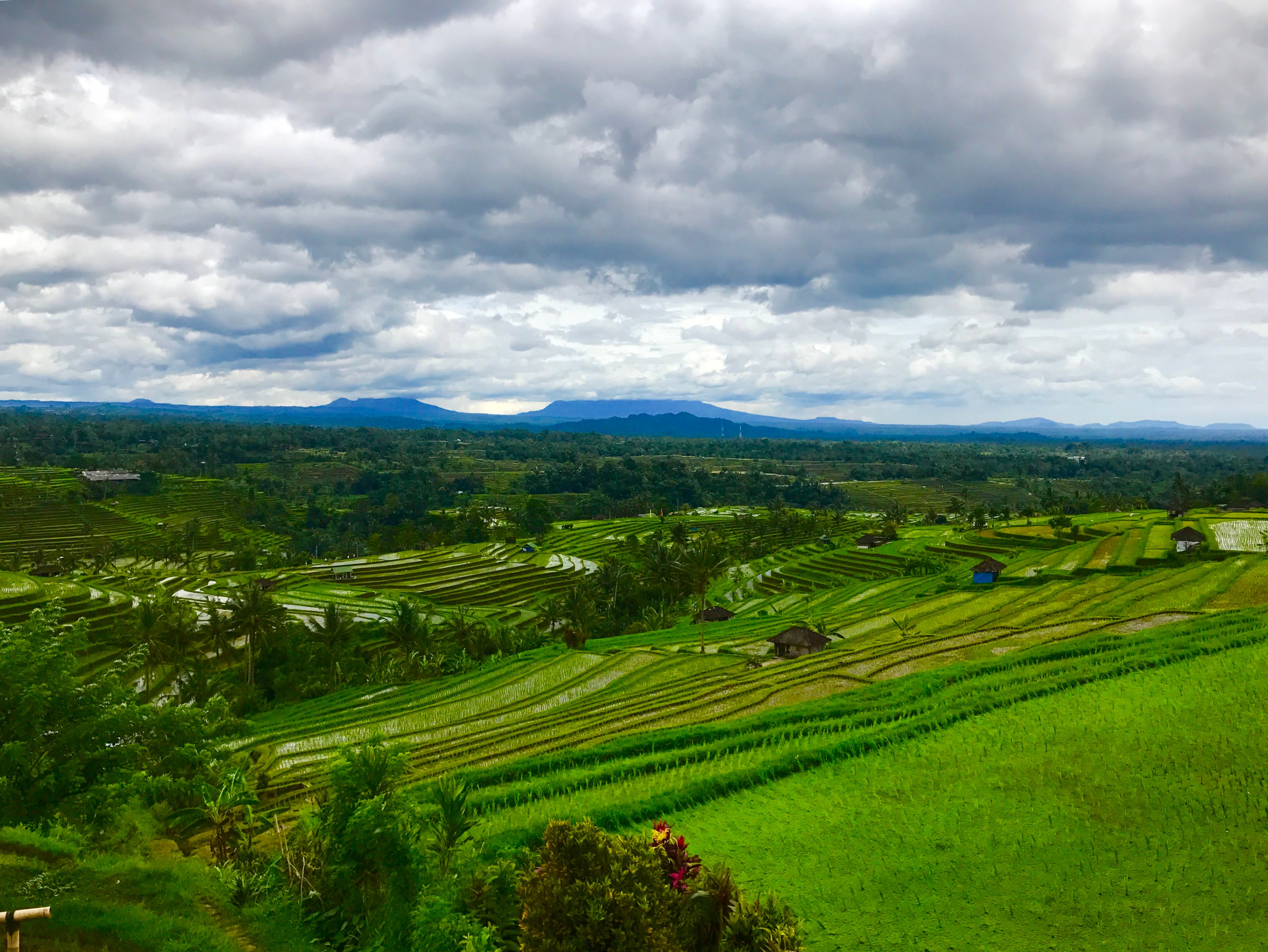 Bali Heritage & Highlands: UNESCO Temple Tour