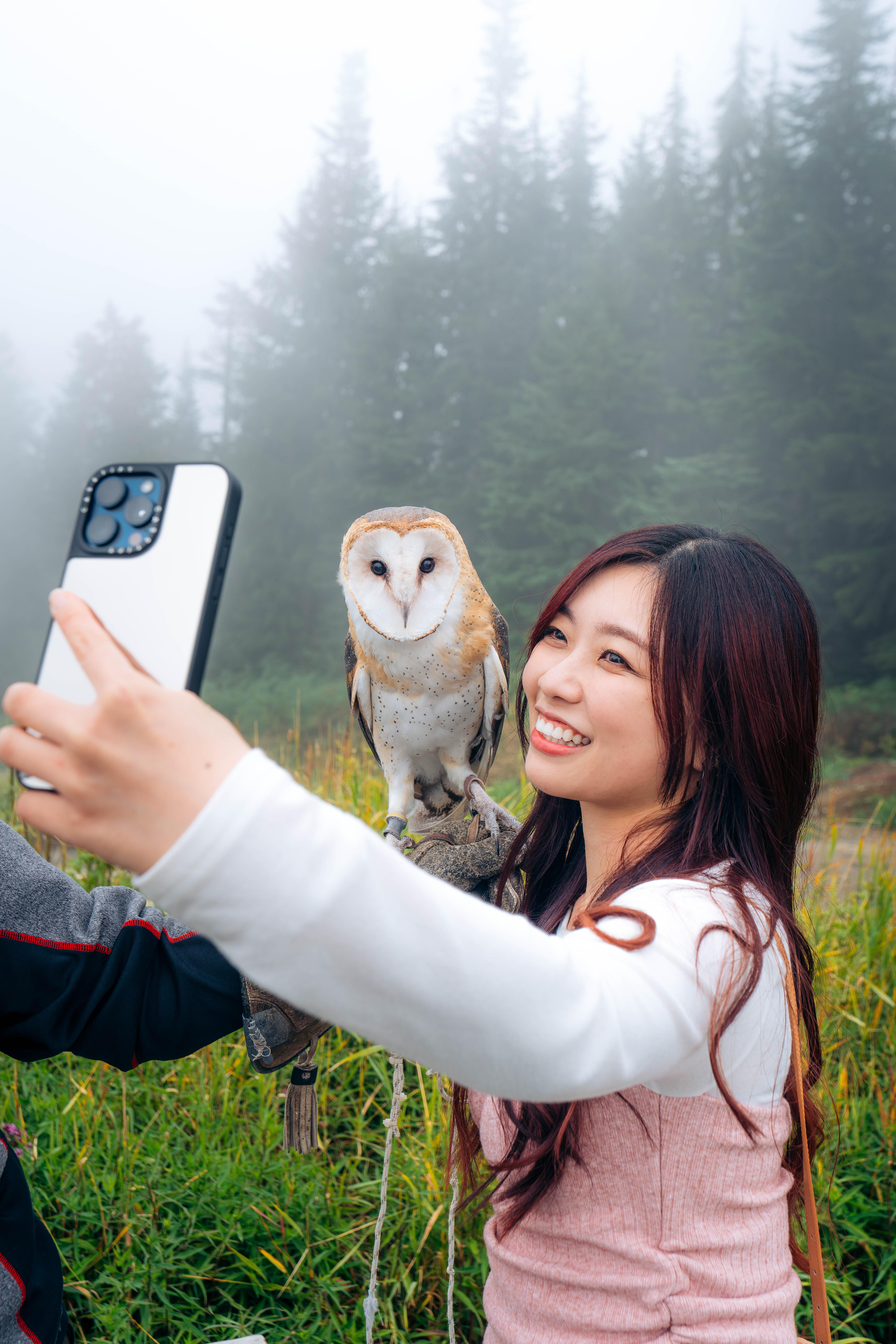 Capilano Suspension Bridge & Grouse Mountain Full-Day Tour