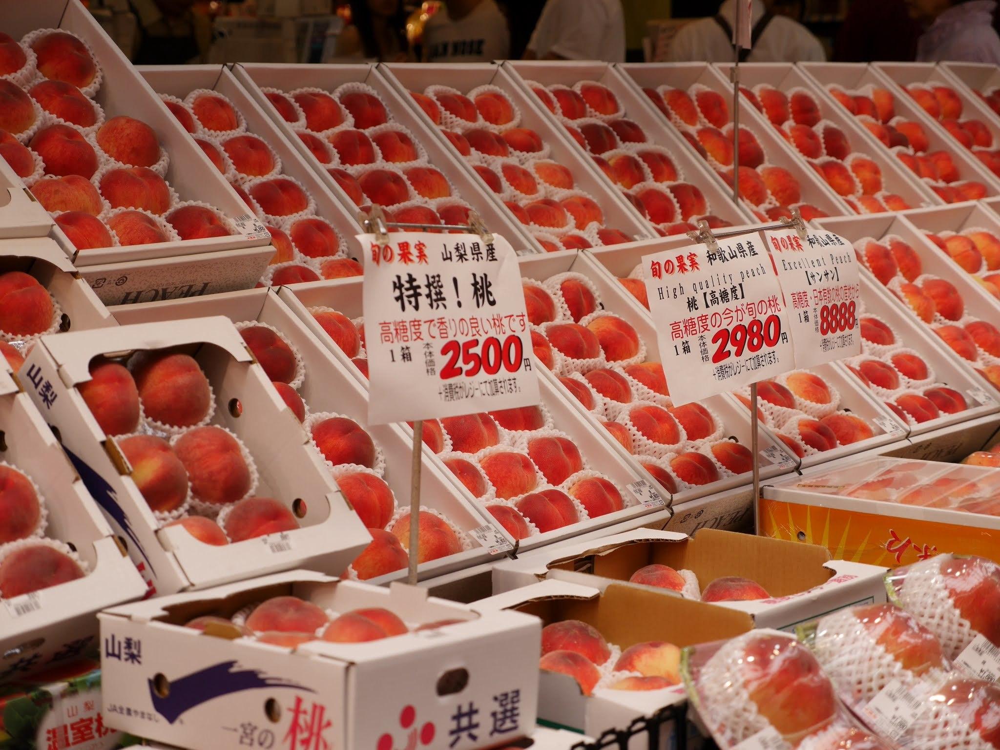 Osaka: Full-Day Private Tour by Luxury Vehicle