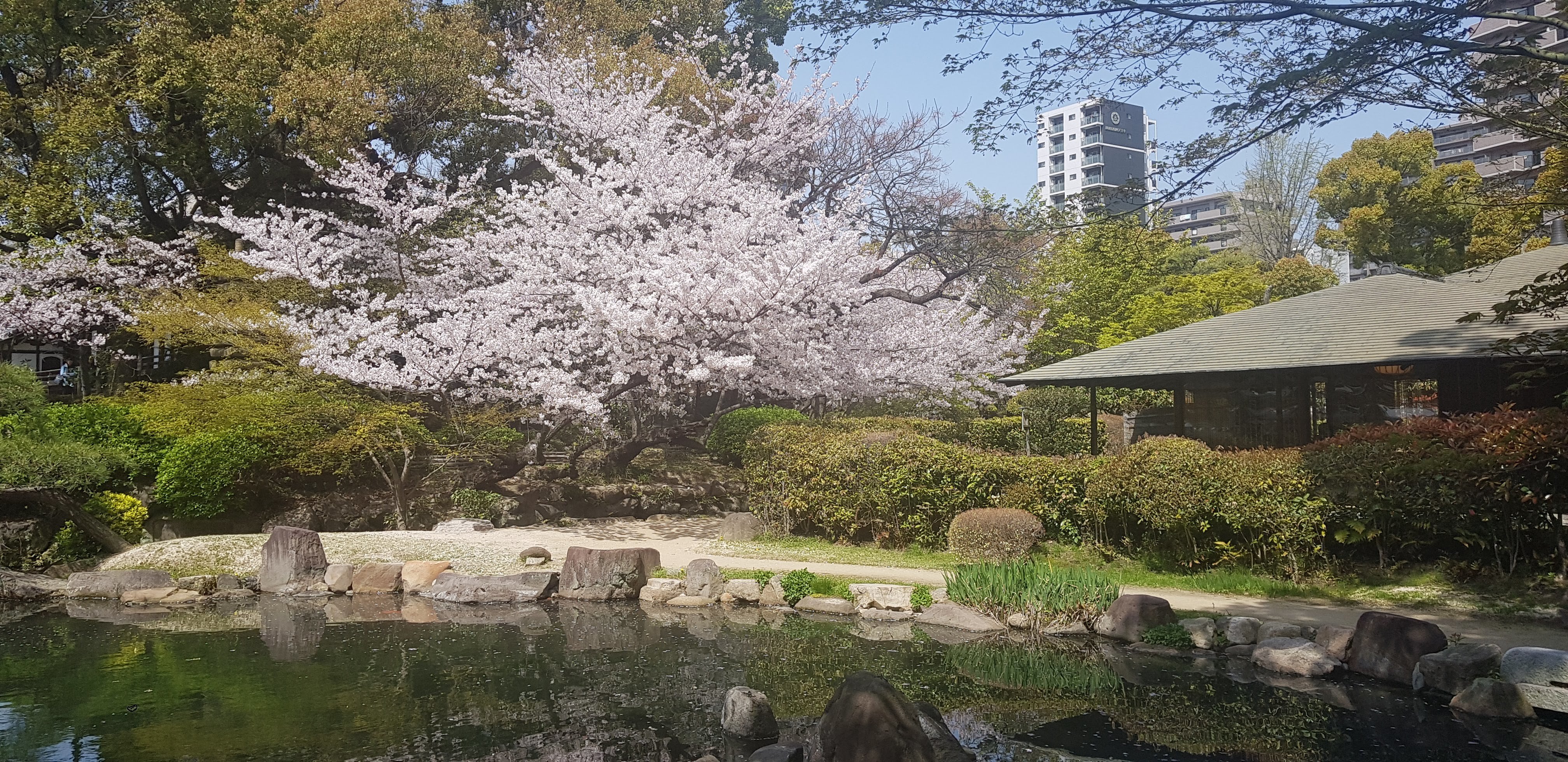 Osaka: Full-Day Private Tour by Luxury Vehicle
