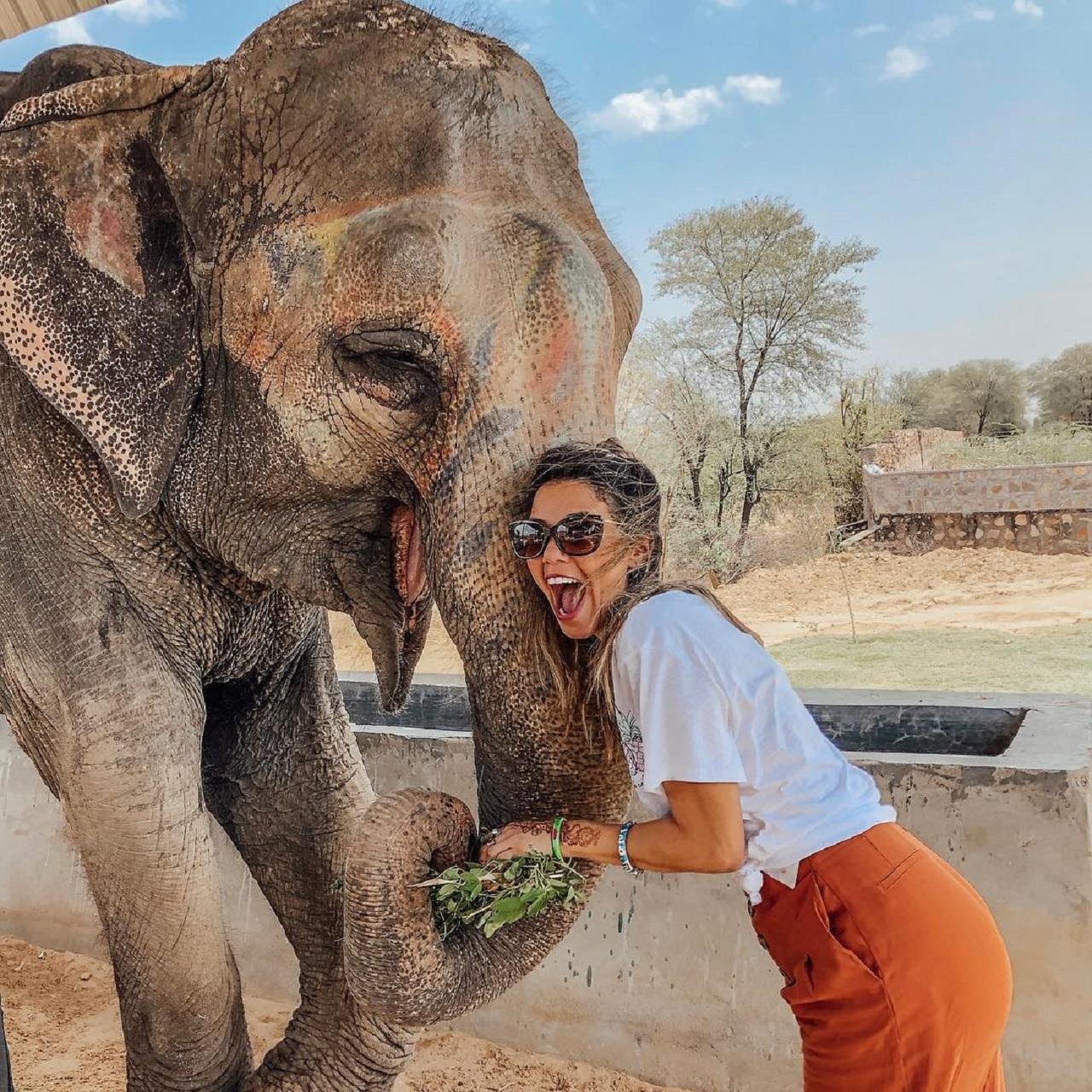 Jaipur After Dark: Private Open-Air Jeep Safari