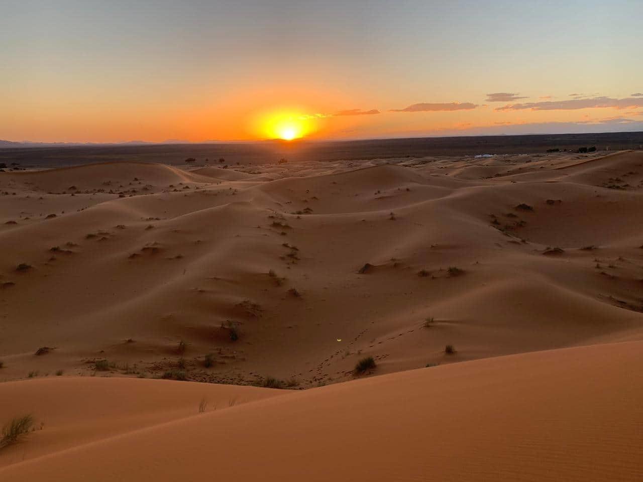 Erg Chebbi Overnight Camel Trek from Merzouga