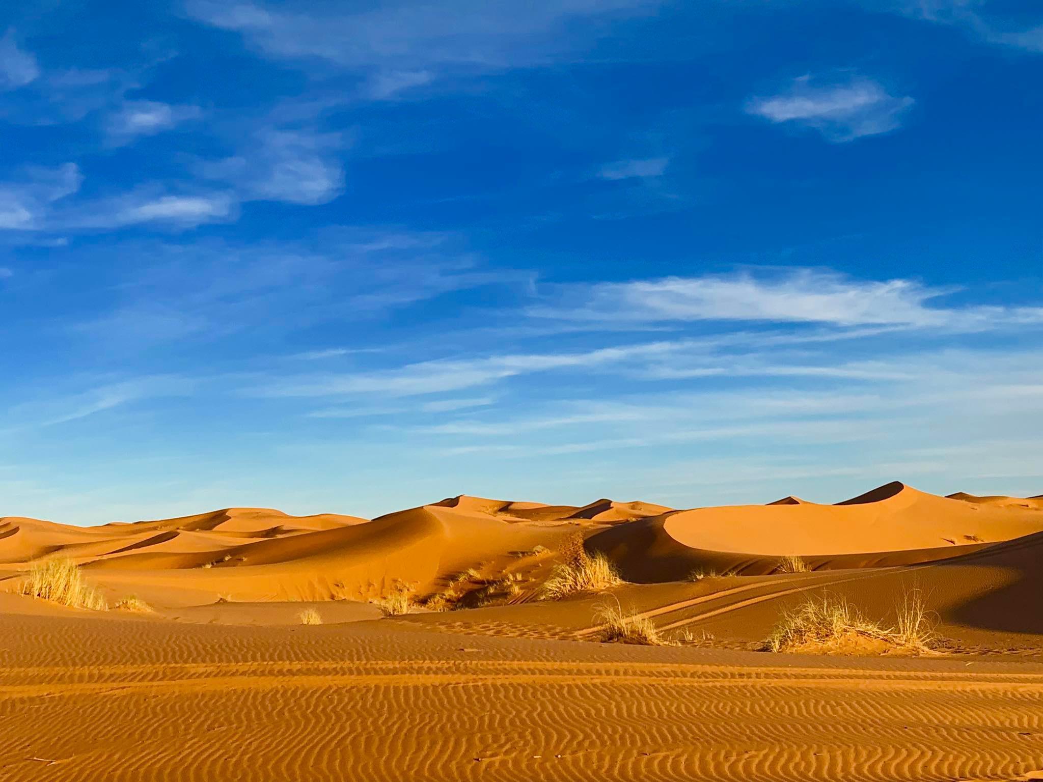 Erg Chebbi Overnight Camel Trek from Merzouga