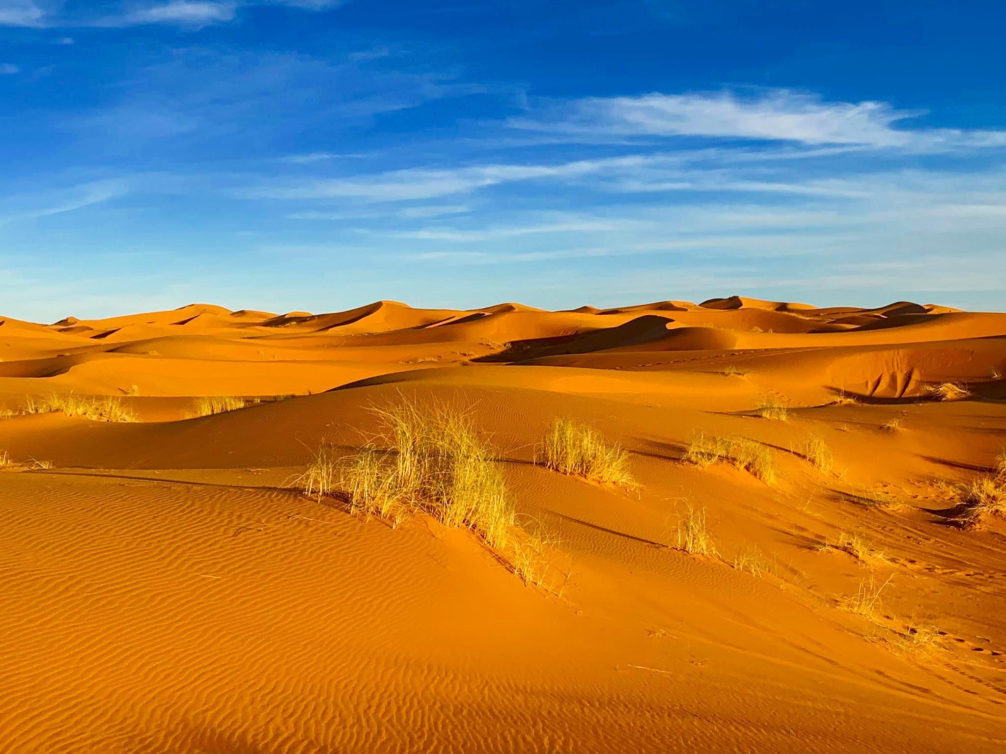 Erg Chebbi Overnight Camel Trek from Merzouga