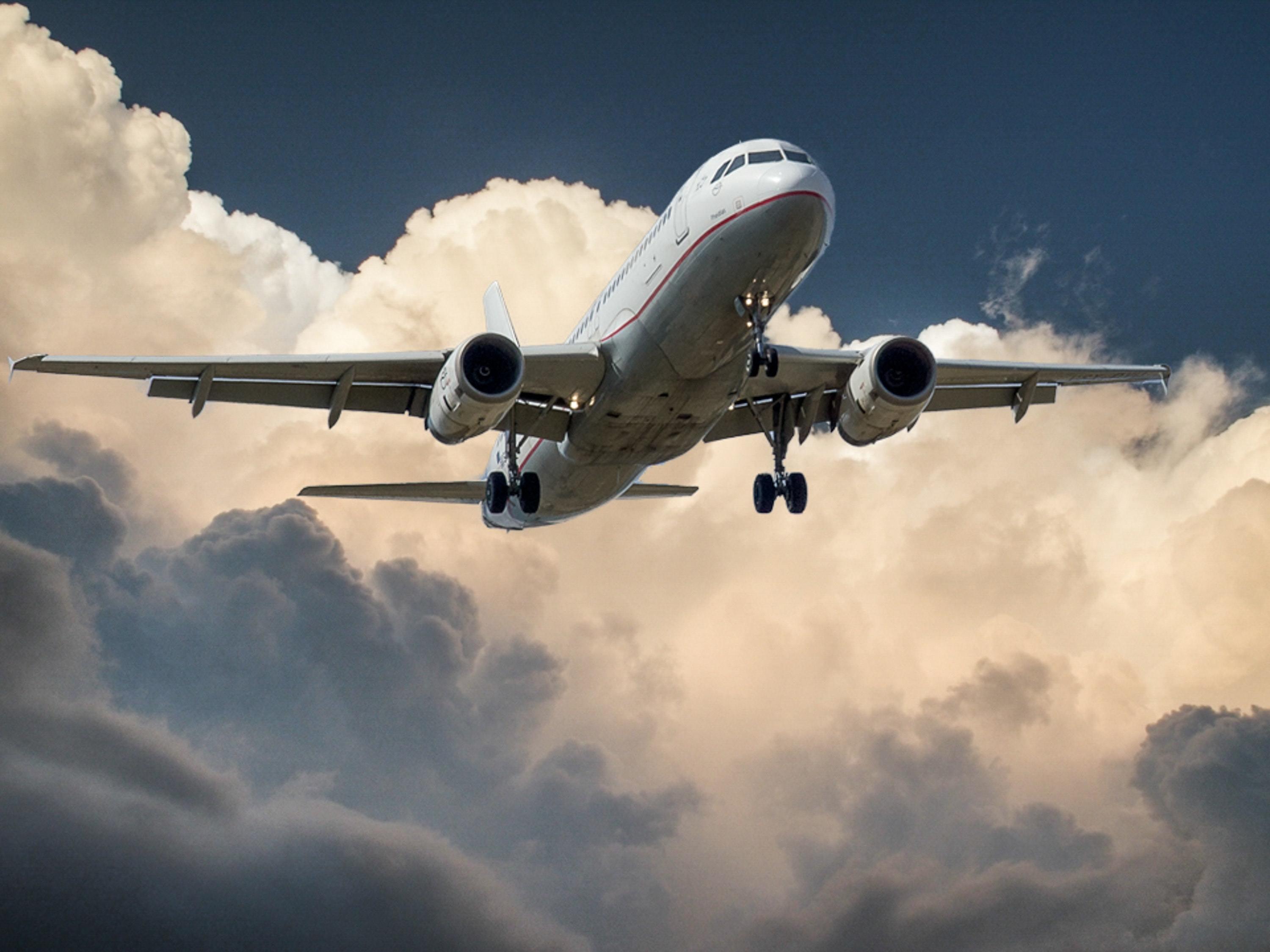 Private Airport Transfer: Amman Queen Alia to City Hotels