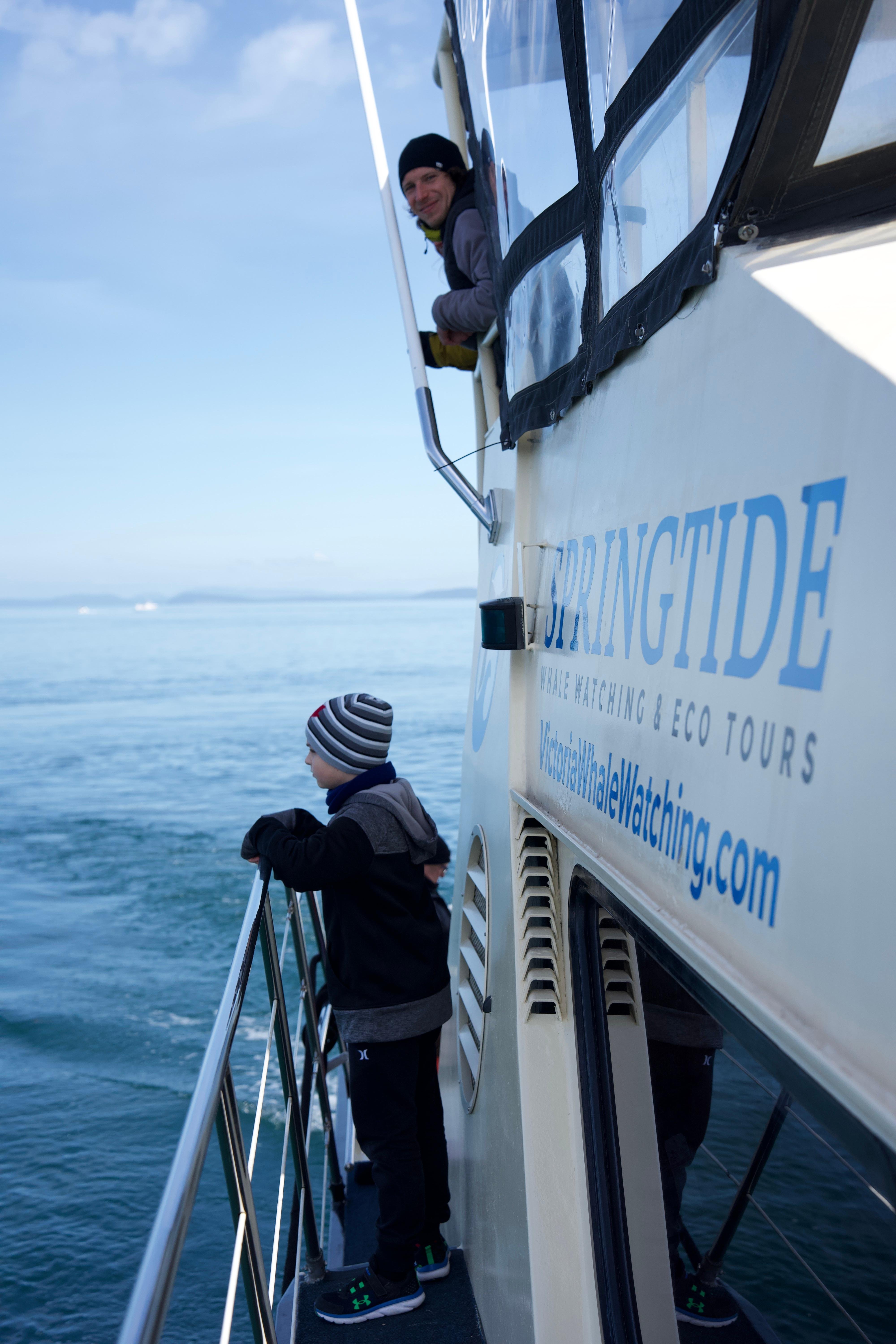 Victoria whale watching tour — orcas and marine wildlife in the Salish Sea — image 15