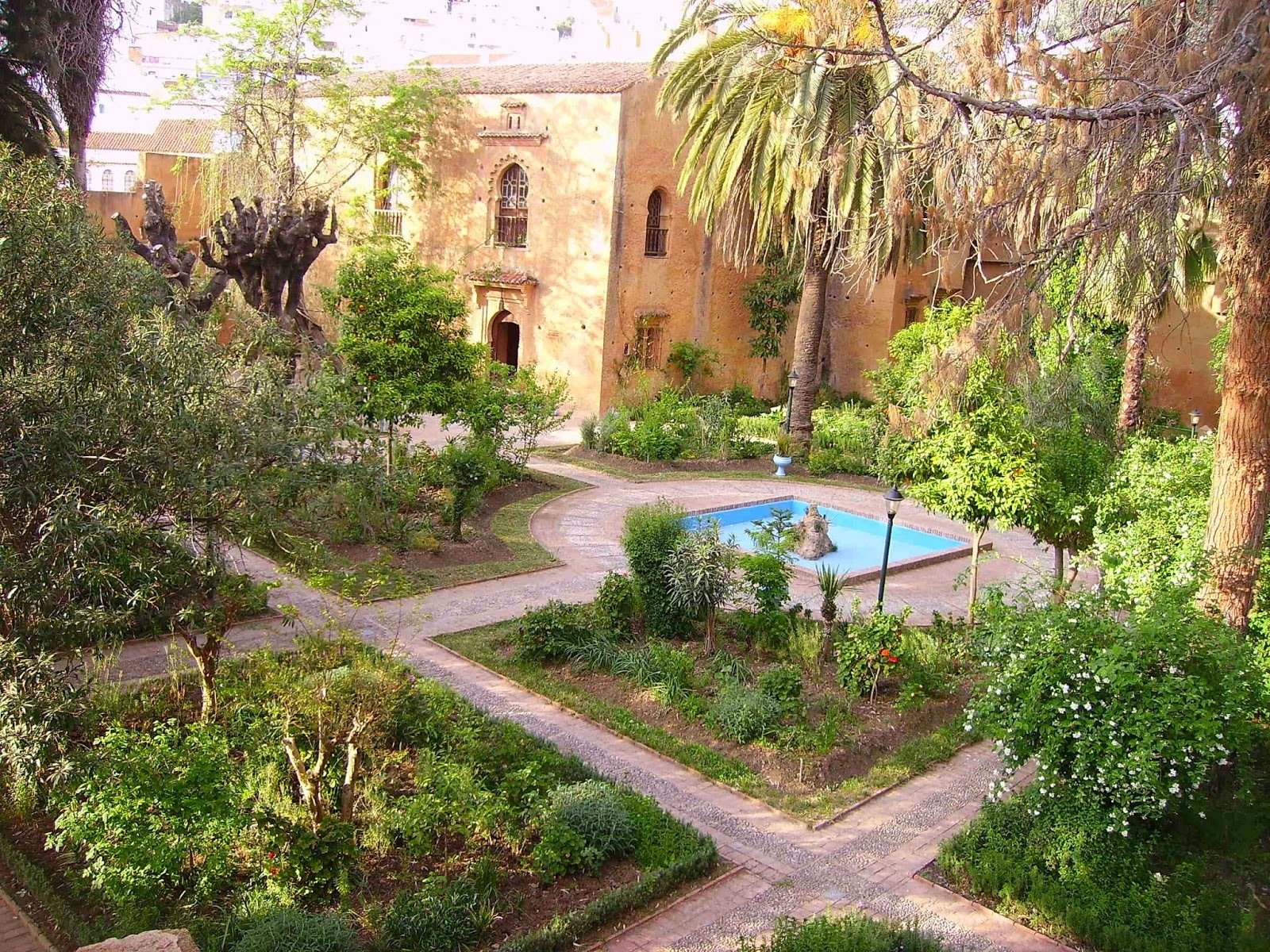 2-Day Casablanca to Tangier & Chefchaouen Rail Adventure