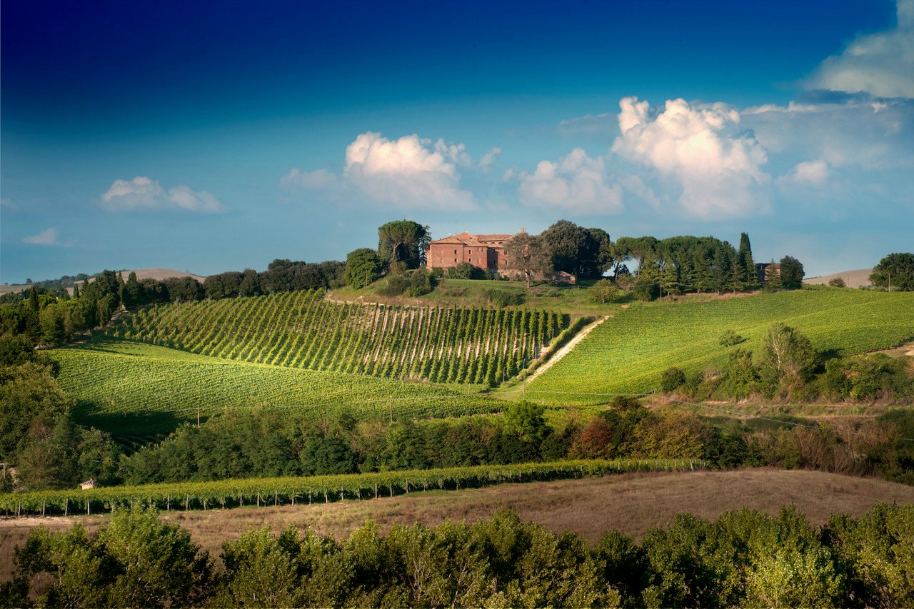 Montalcino Castle Wine Tasting: Brunello & Sangiovese Experience