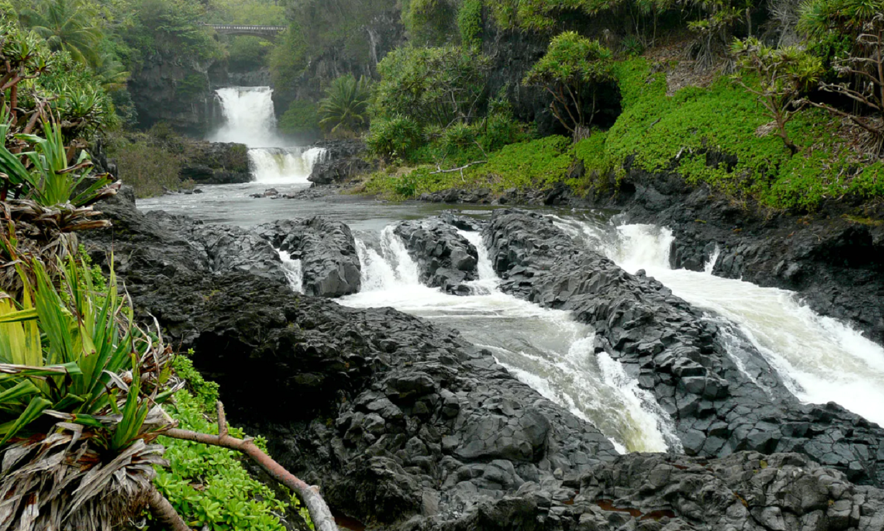 Hana Rainforest Hiking Adventure with Lunch
