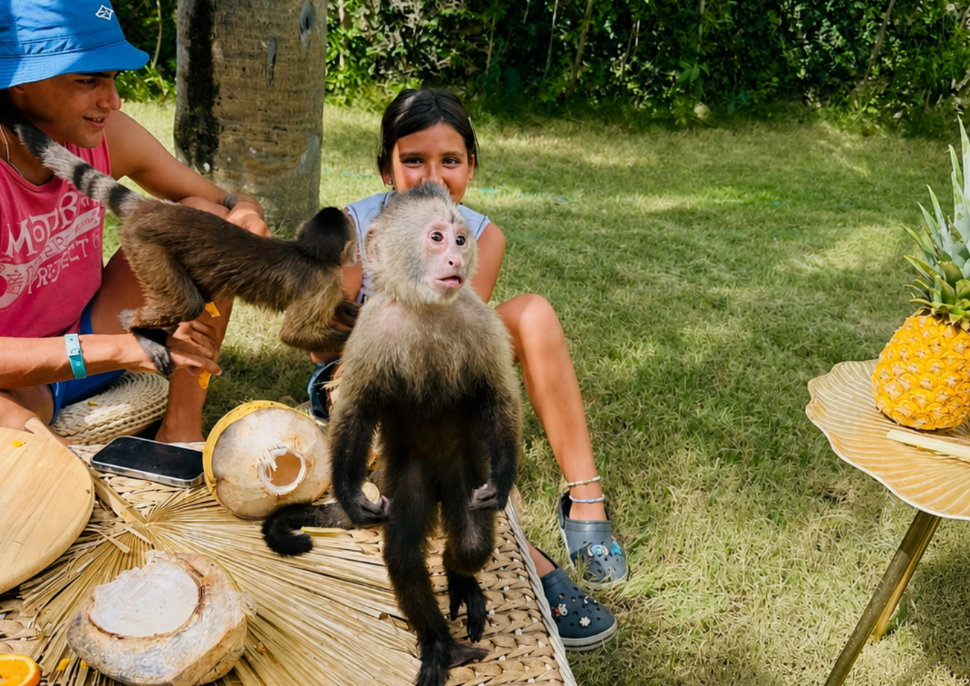Punta Cana Patron Monkey Sanctuary