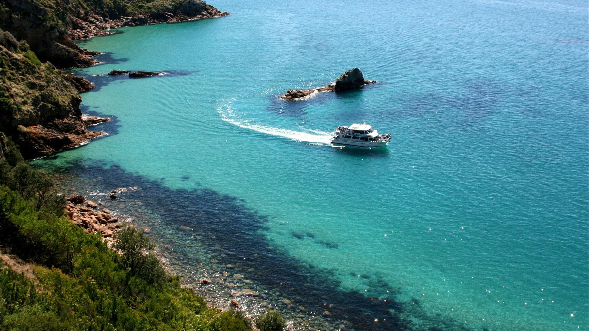Cape Woolamai Scenic Cruise from San Remo